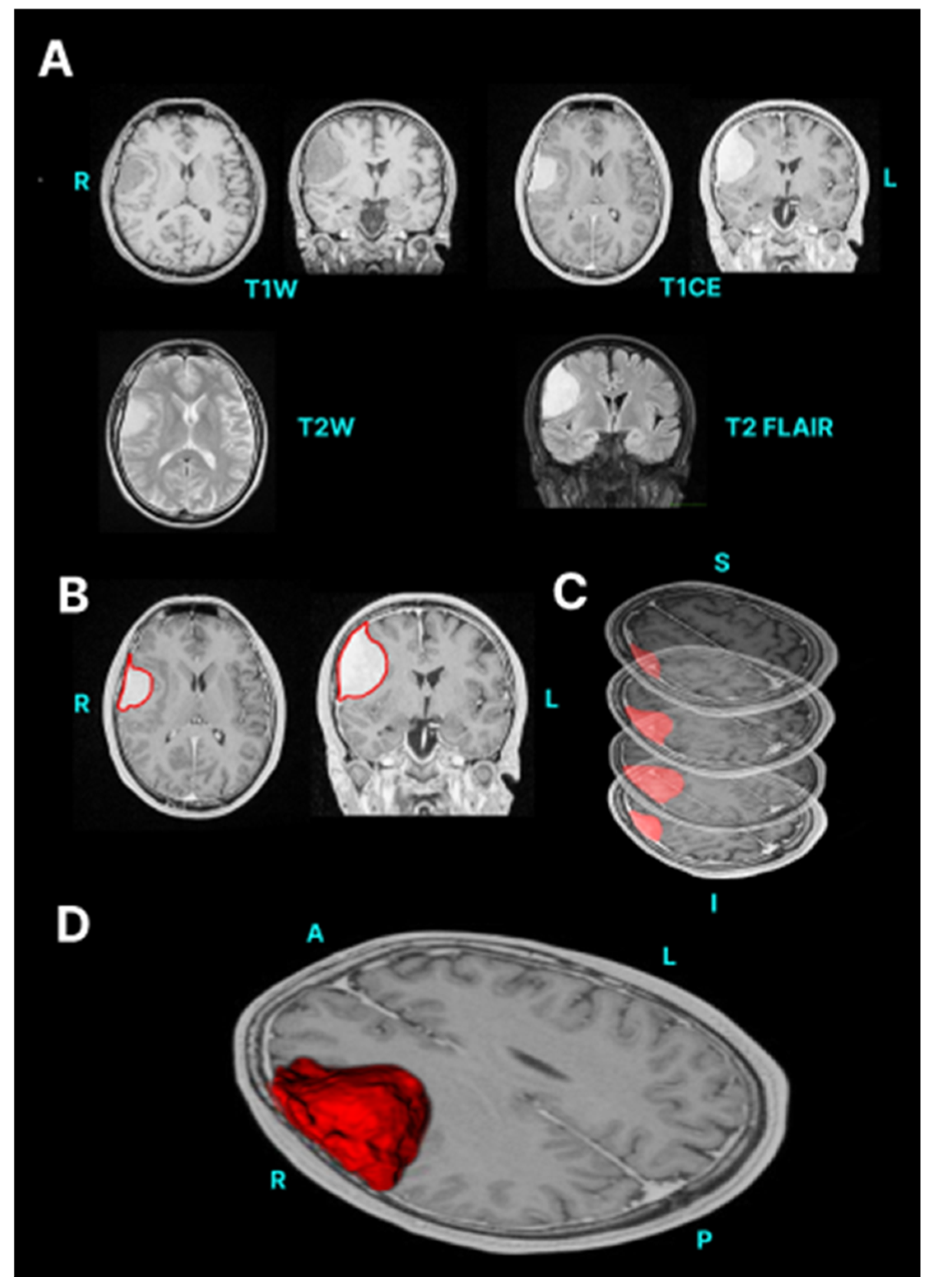 Neurosci 05 00021 g002