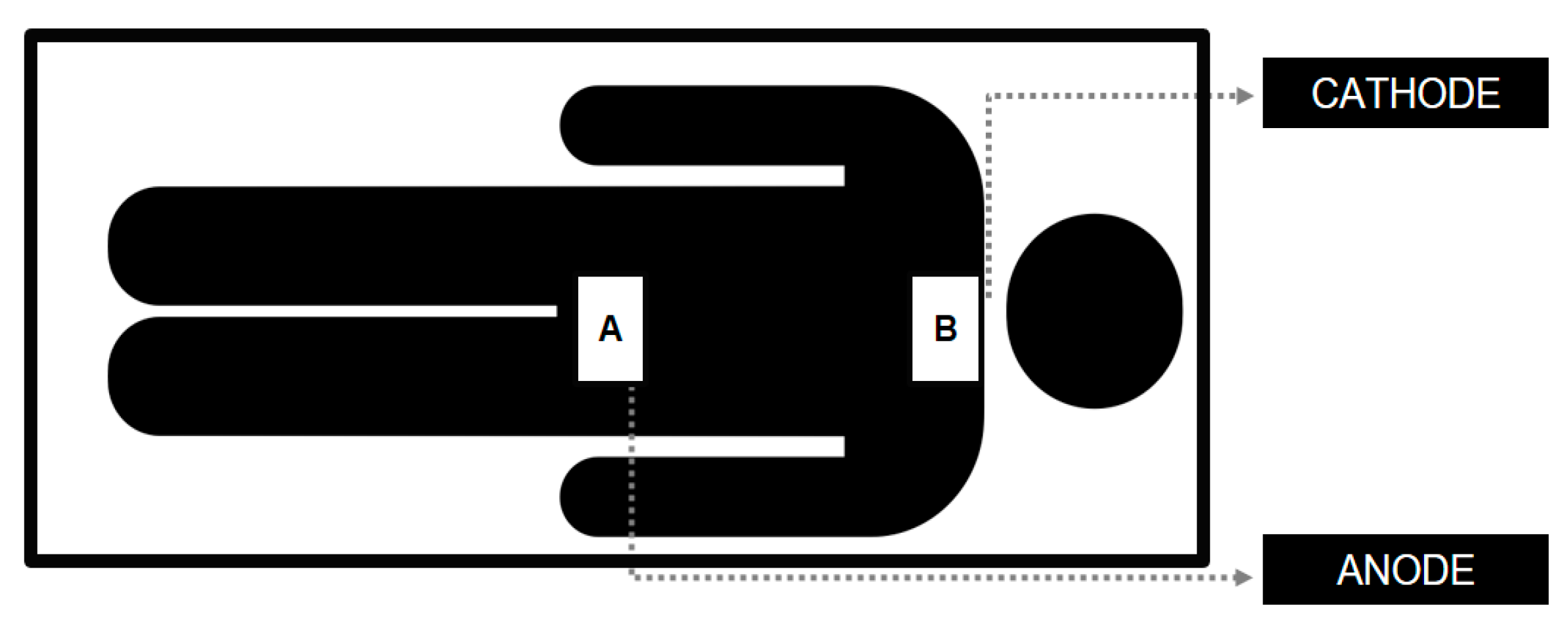 Neurosci 05 00043 g002