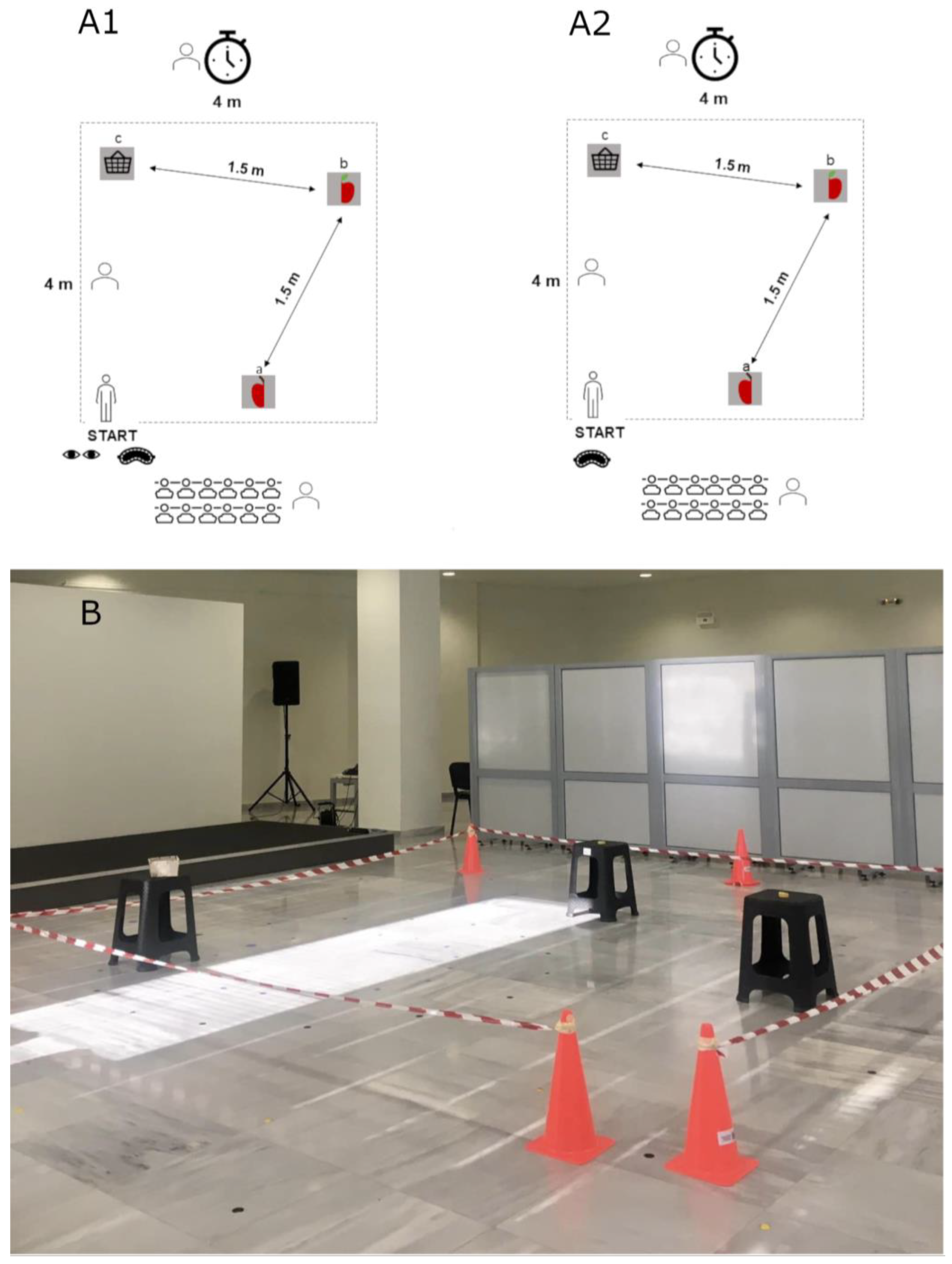 Neurosci 05 00050 g001