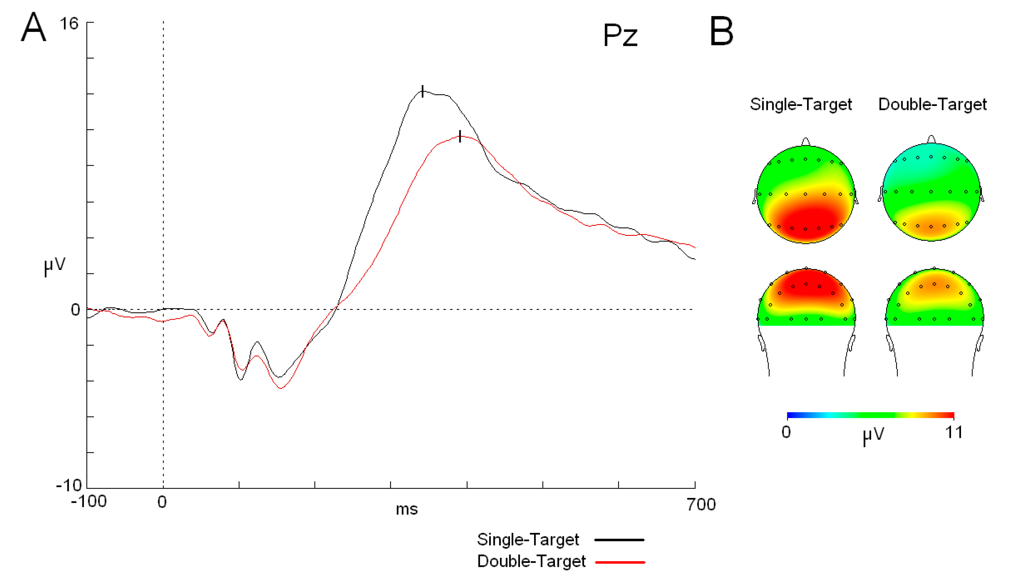 Neurosci 06 00032 g002