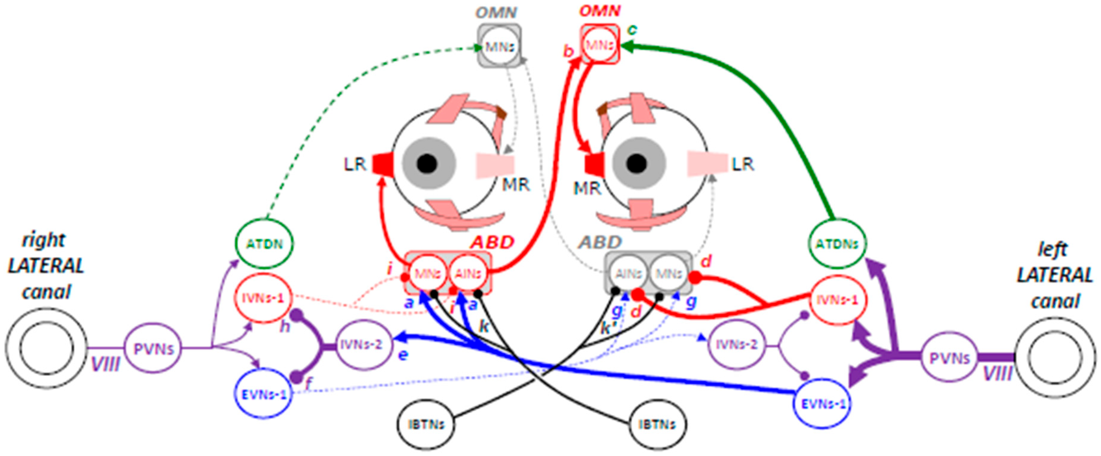 Neurosci 06 00085 g003 Neurosci 06 00085 g003