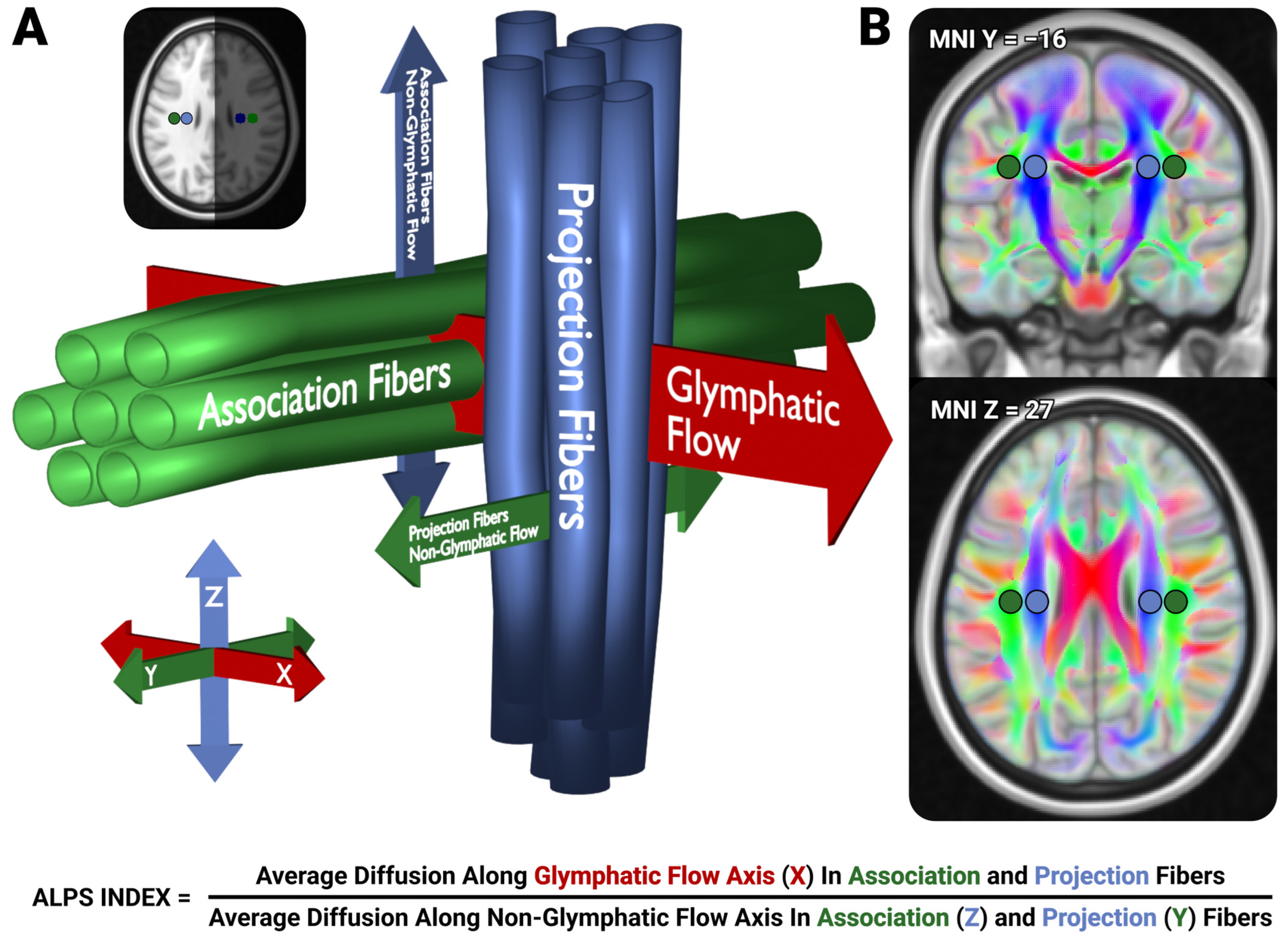 Neurosci 06 00101 g001 Neurosci 06 00101 g001