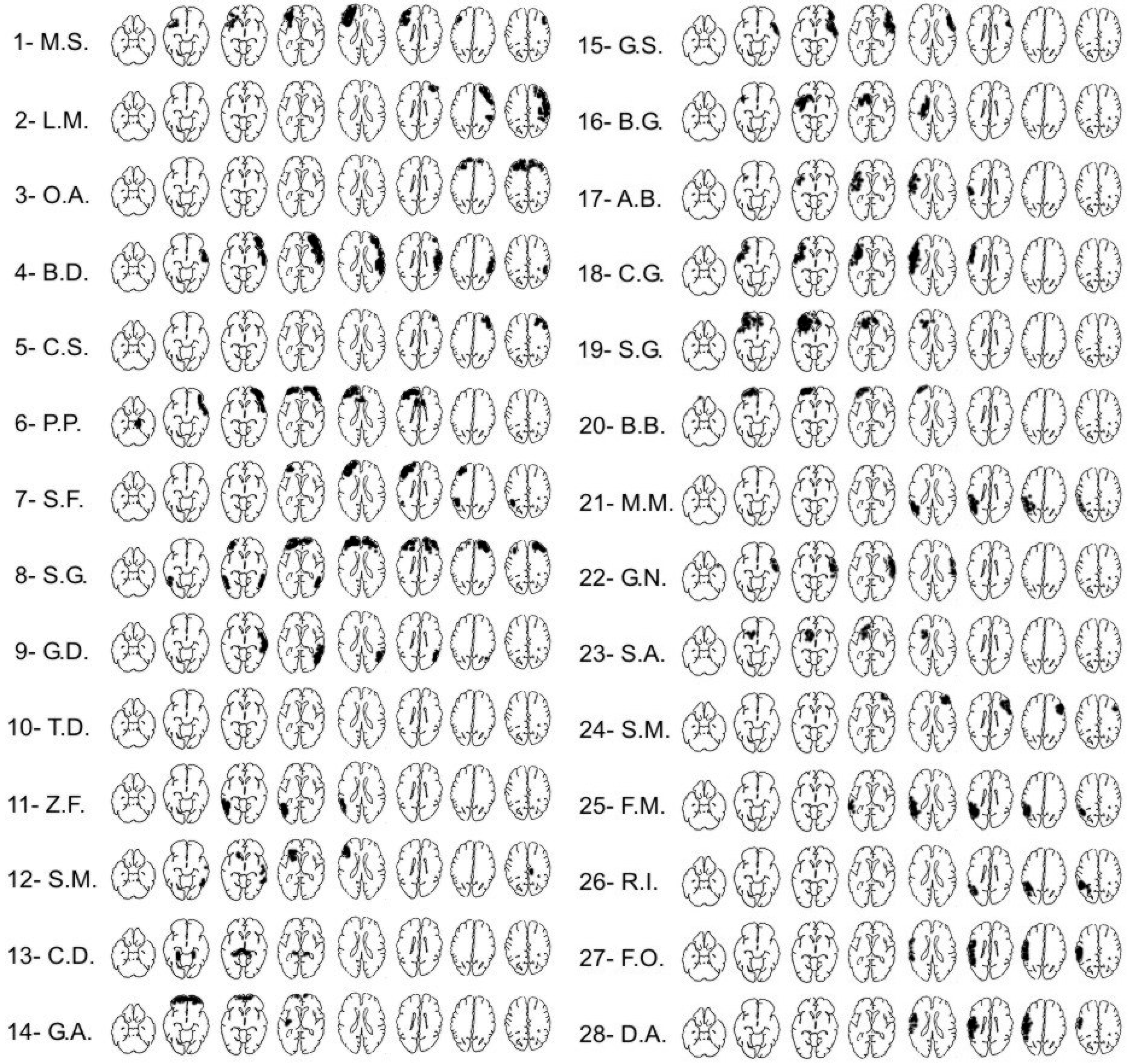 Neurosci 06 00105 g001 Neurosci 06 00105 g001