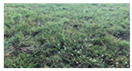 Nitrogen 03 00009 i007