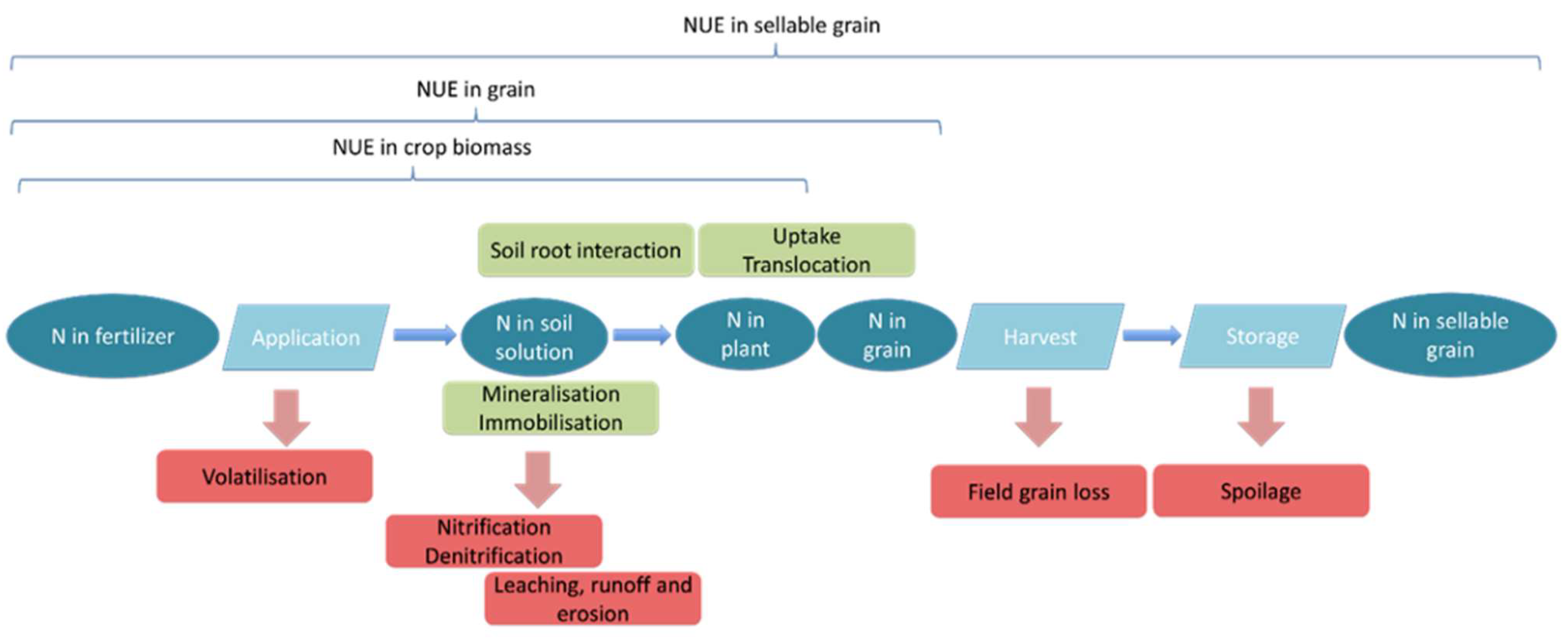 Nitrogen 03 00016 g003
