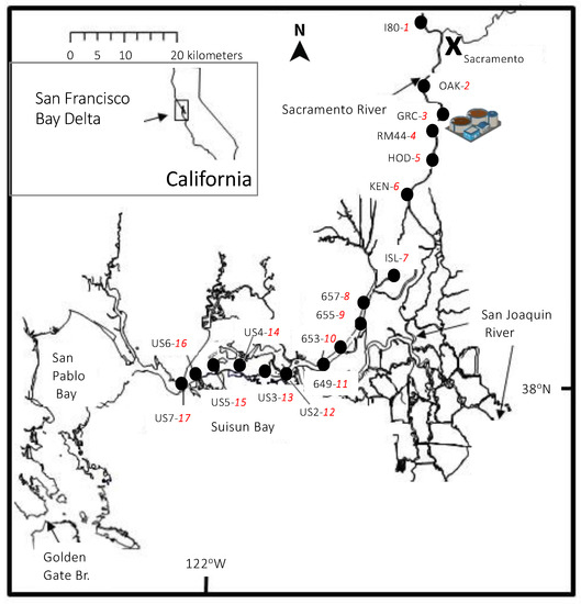 Nitrogen | Free Full-Text | Ecosystem Recovery in Progress