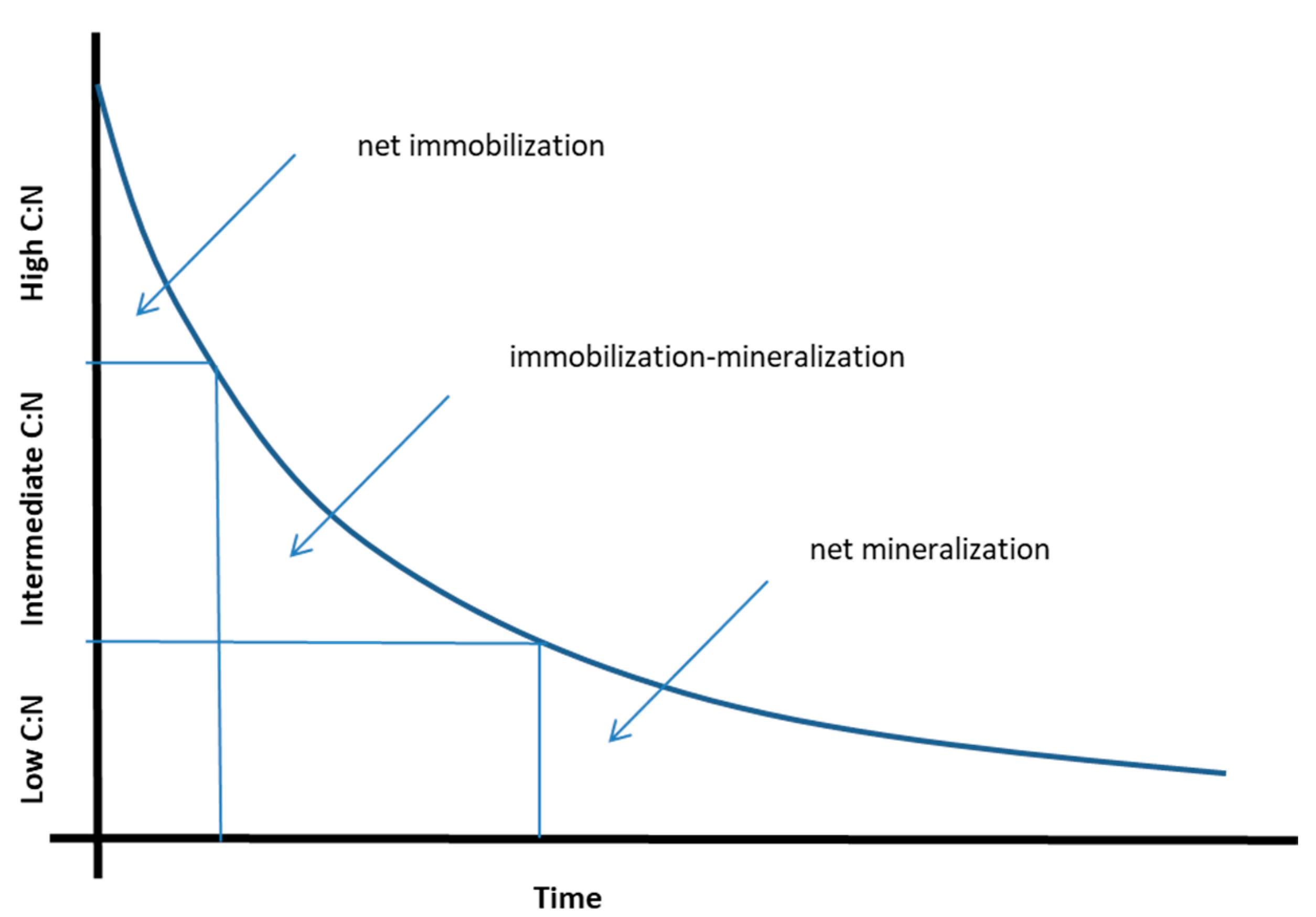 Nitrogen Free Full Text Secondary Immobilization As A Phase Of N Mineralization Dynamics Of