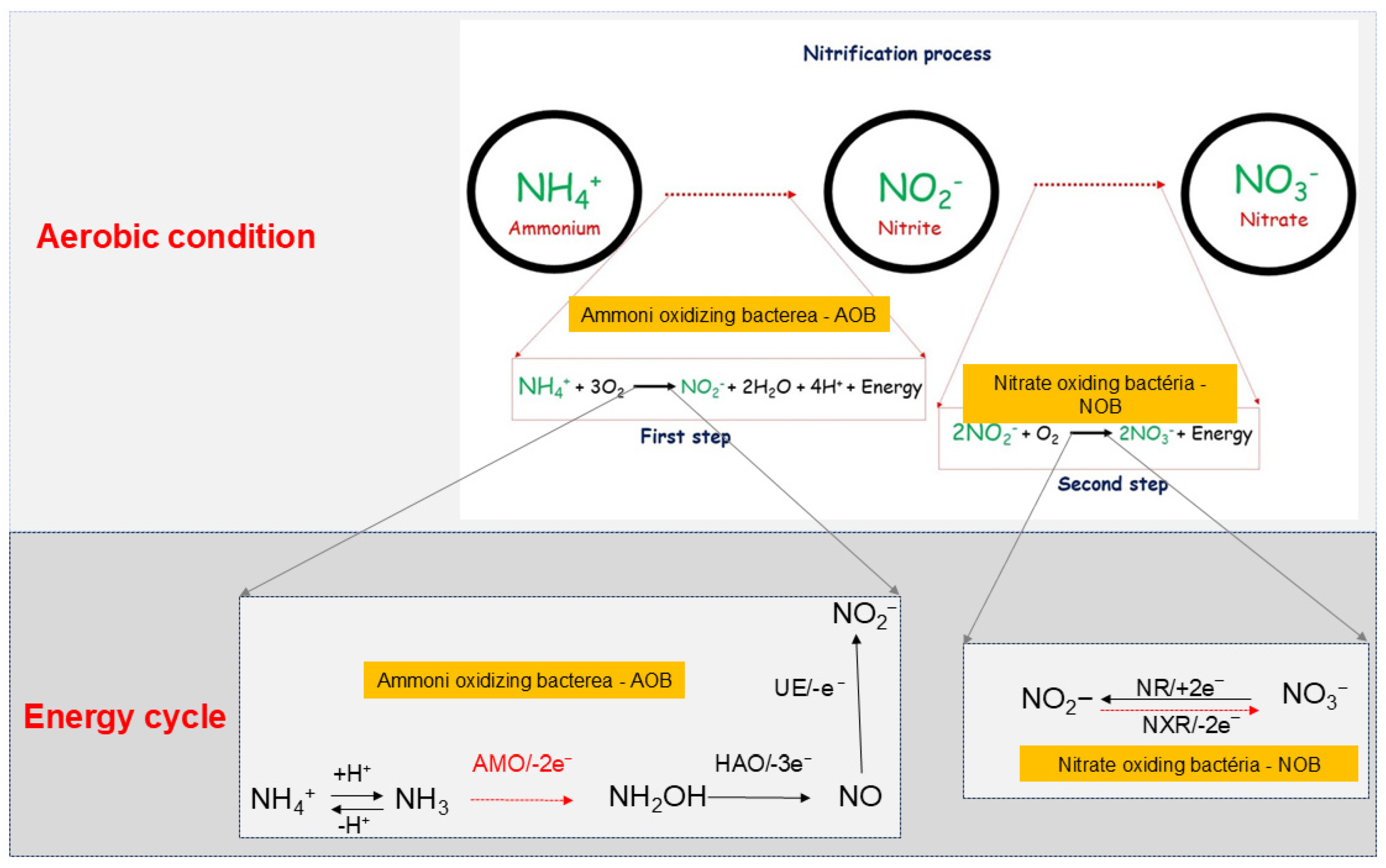Nitrogen 05 00048 g004 Nitrogen 05 00048 g004