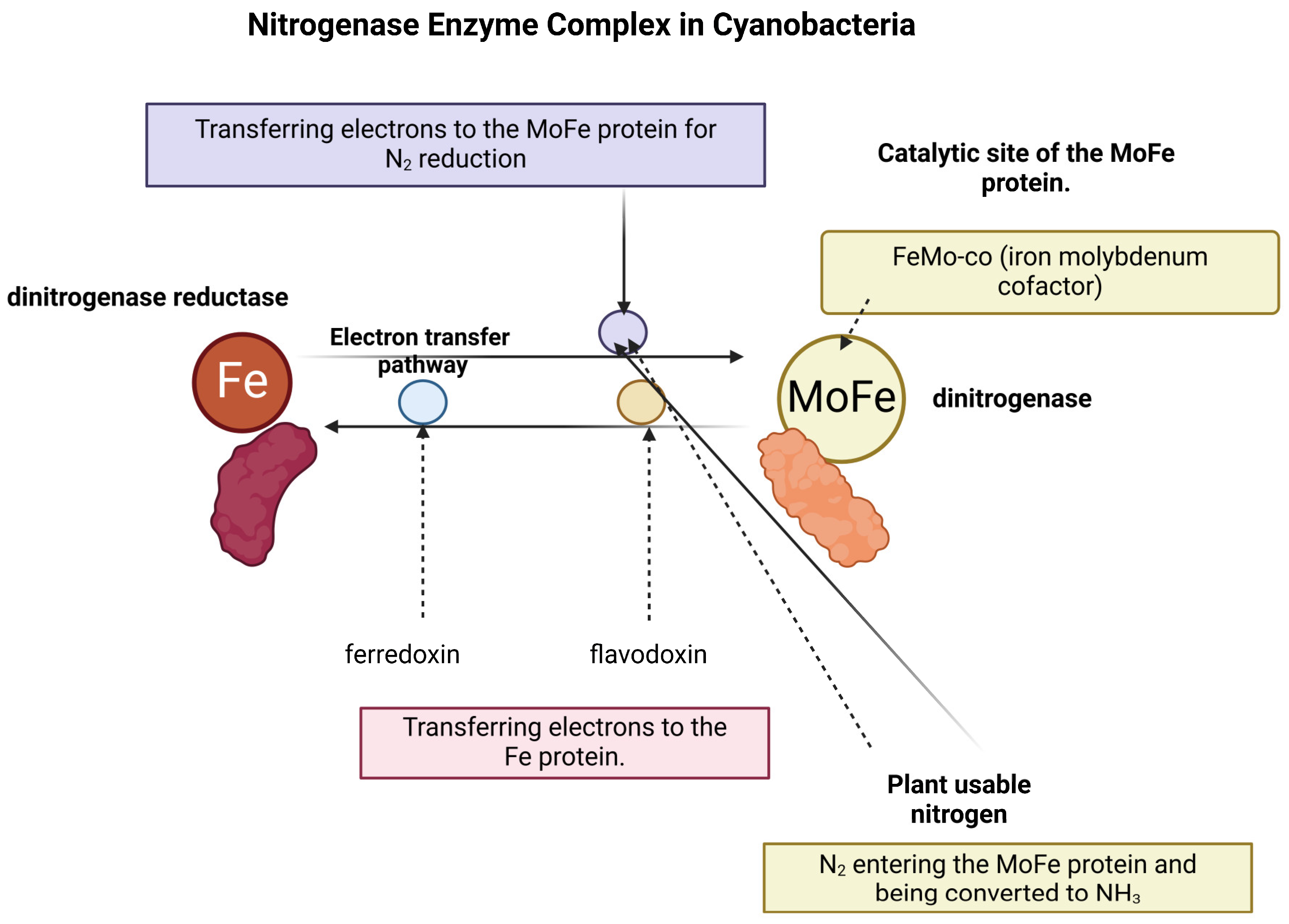 Nitrogen 06 00016 g001