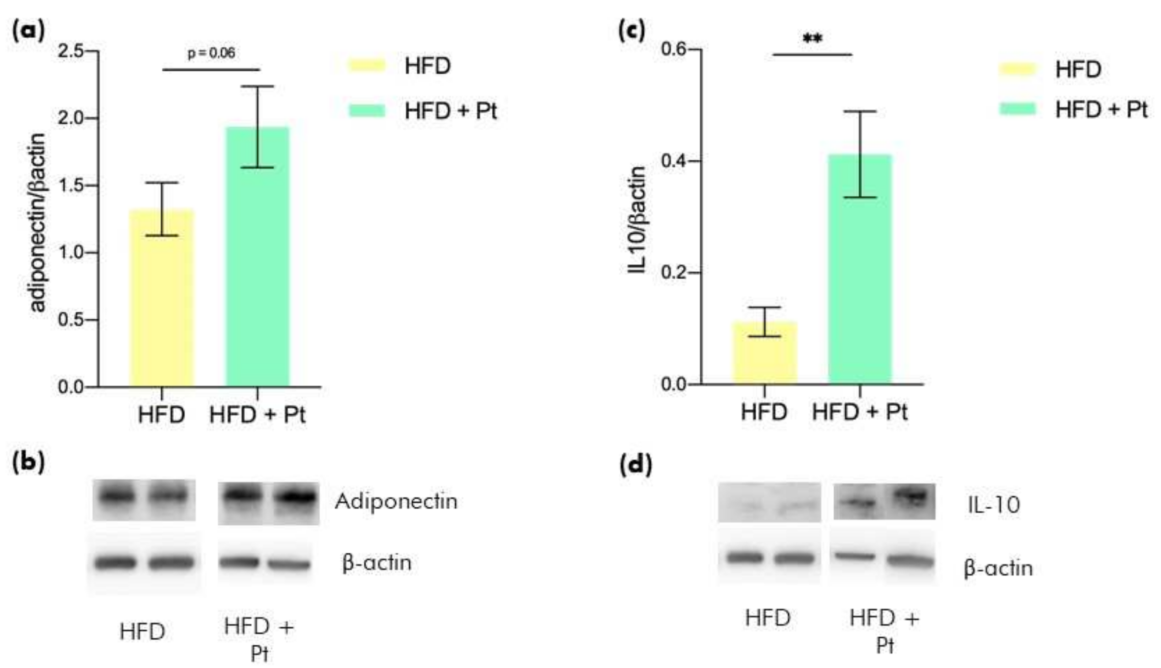 Nutraceuticals 02 00008 g002