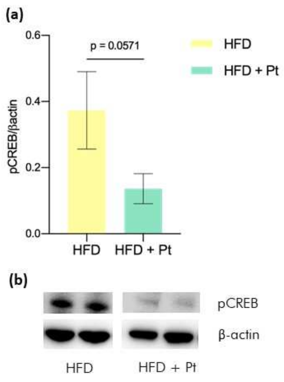Nutraceuticals 02 00008 g004