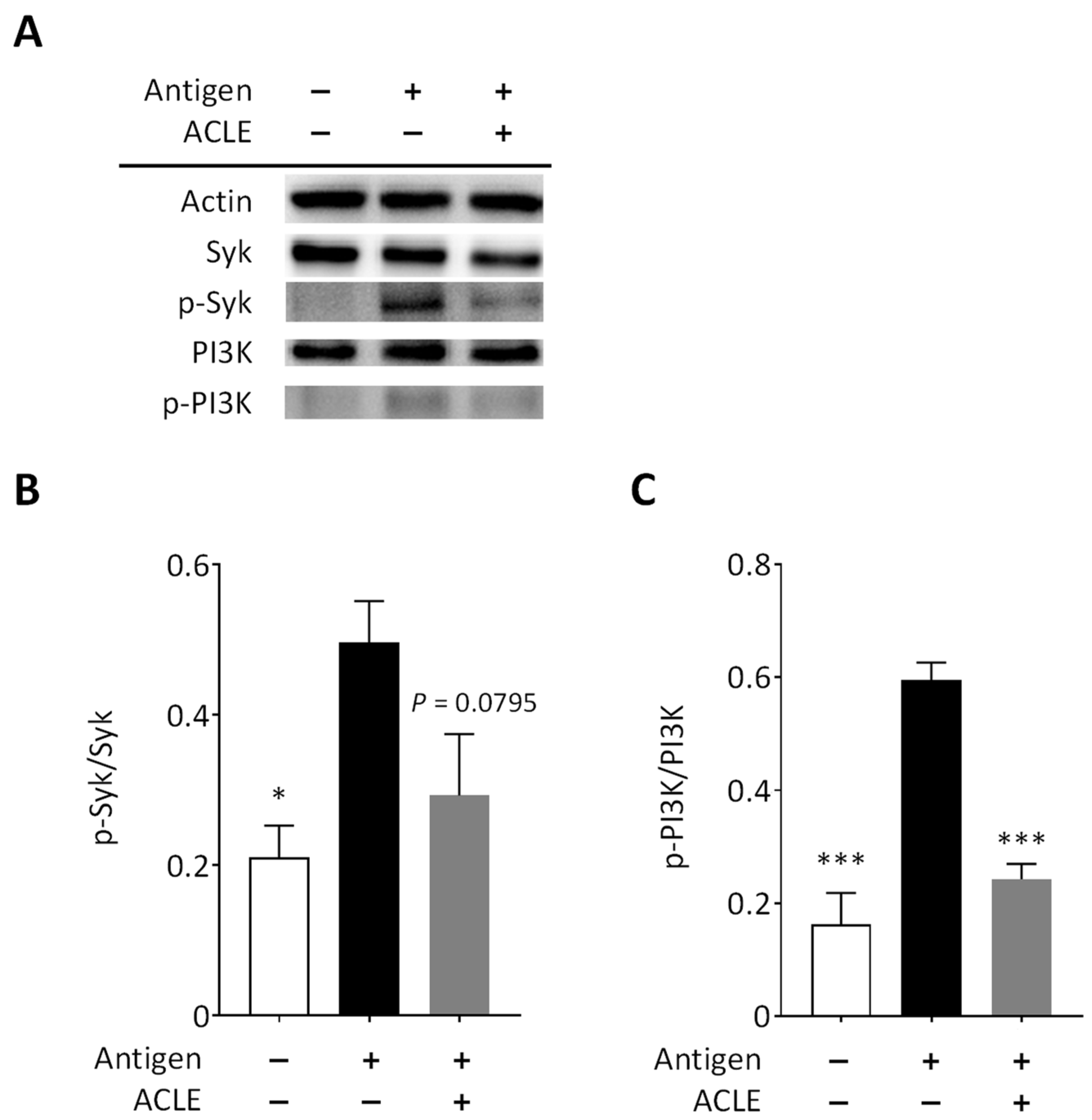 Nutraceuticals 02 00013 g004 Nutraceuticals 02 00013 g004