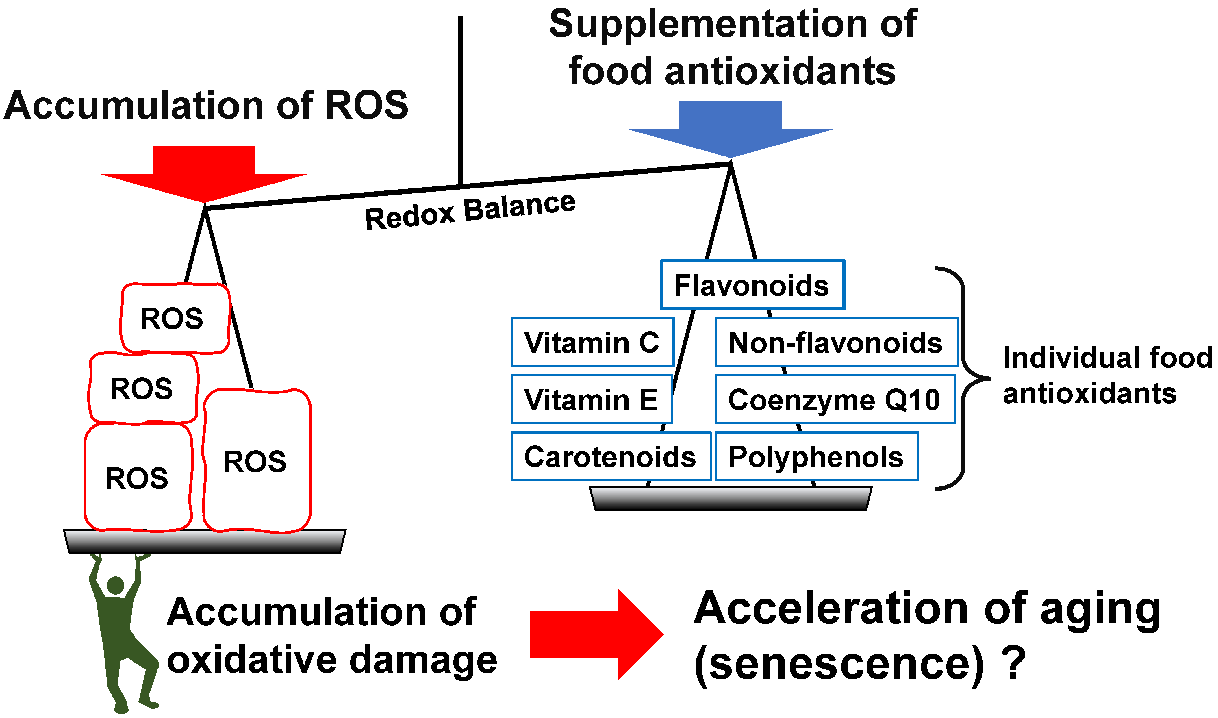 Nutraceuticals 02 00014 g002 Nutraceuticals 02 00014 g002
