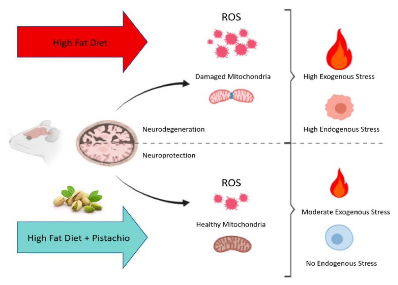 Nutraceuticals 02 00023 g004 Nutraceuticals 02 00023 g004