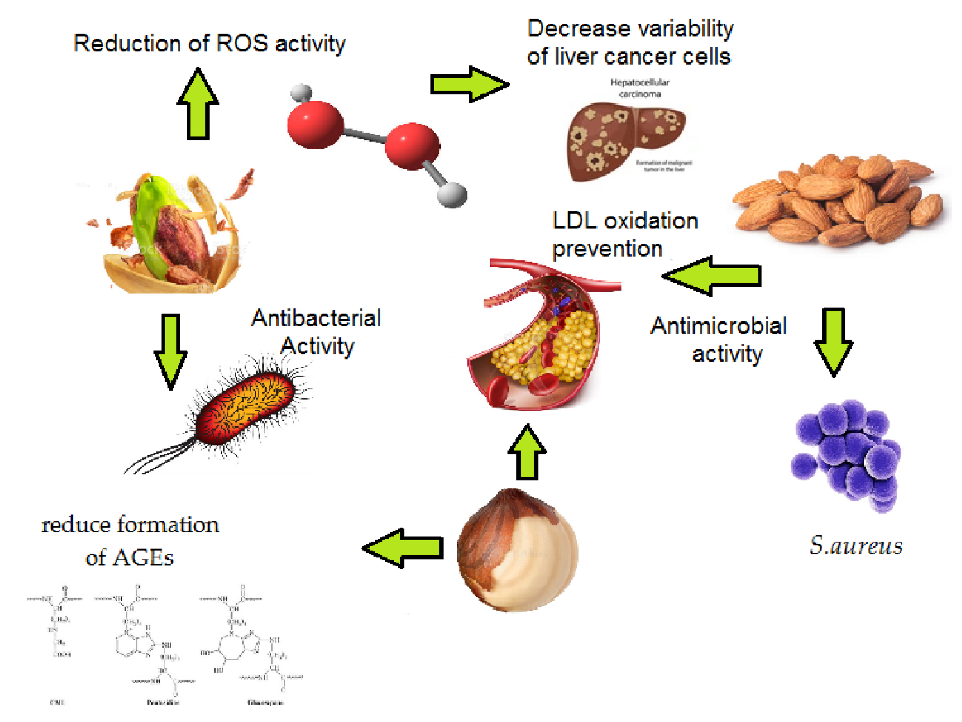 Nutraceuticals 02 00023 g005 Nutraceuticals 02 00023 g005