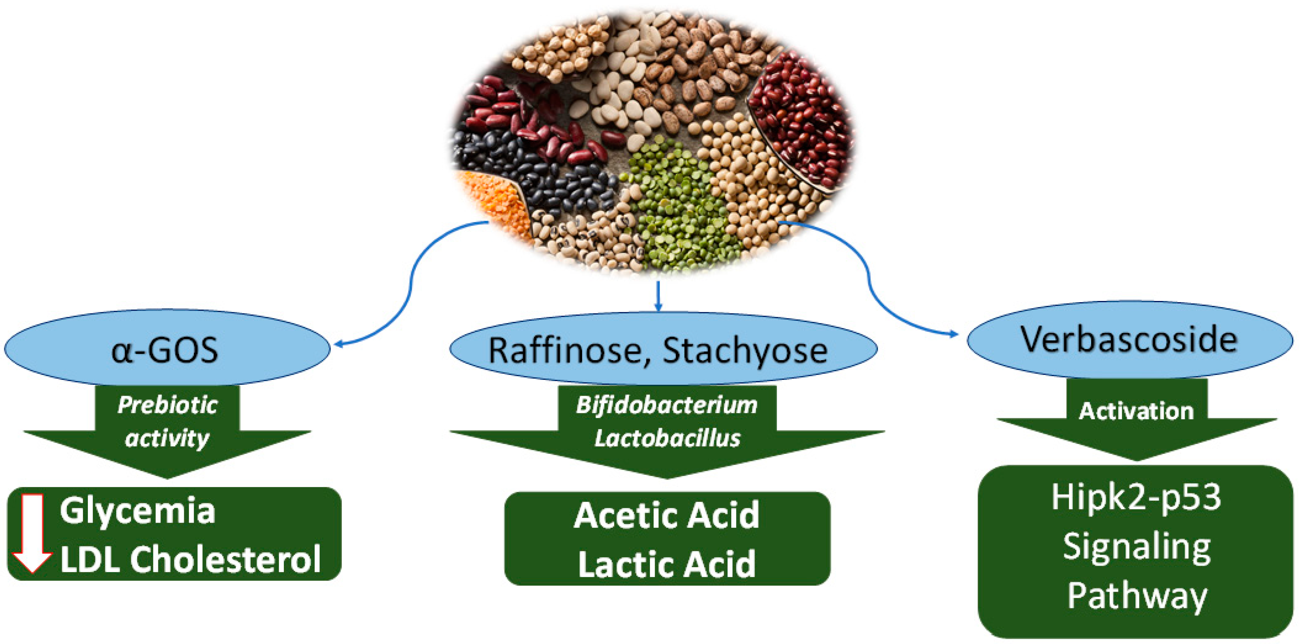 Nutraceuticals 02 00025 g003