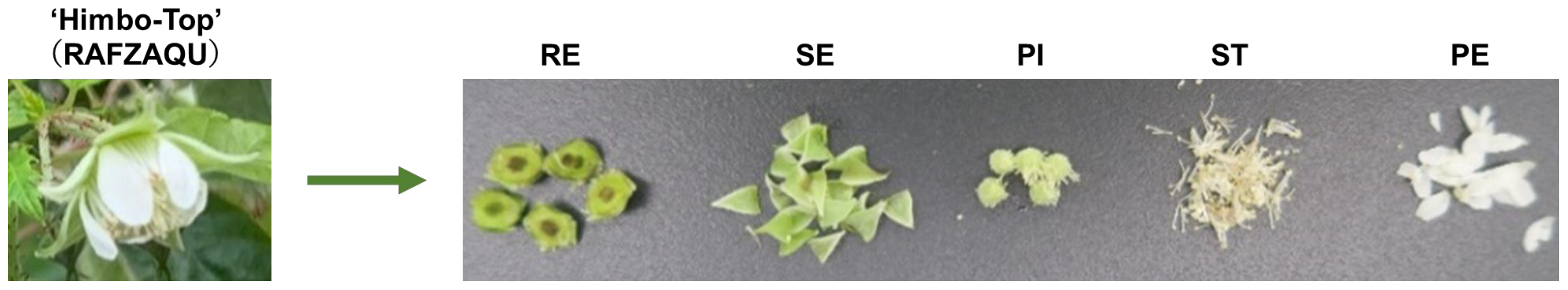 Nutraceuticals 03 00015 g001 Nutraceuticals 03 00015 g001