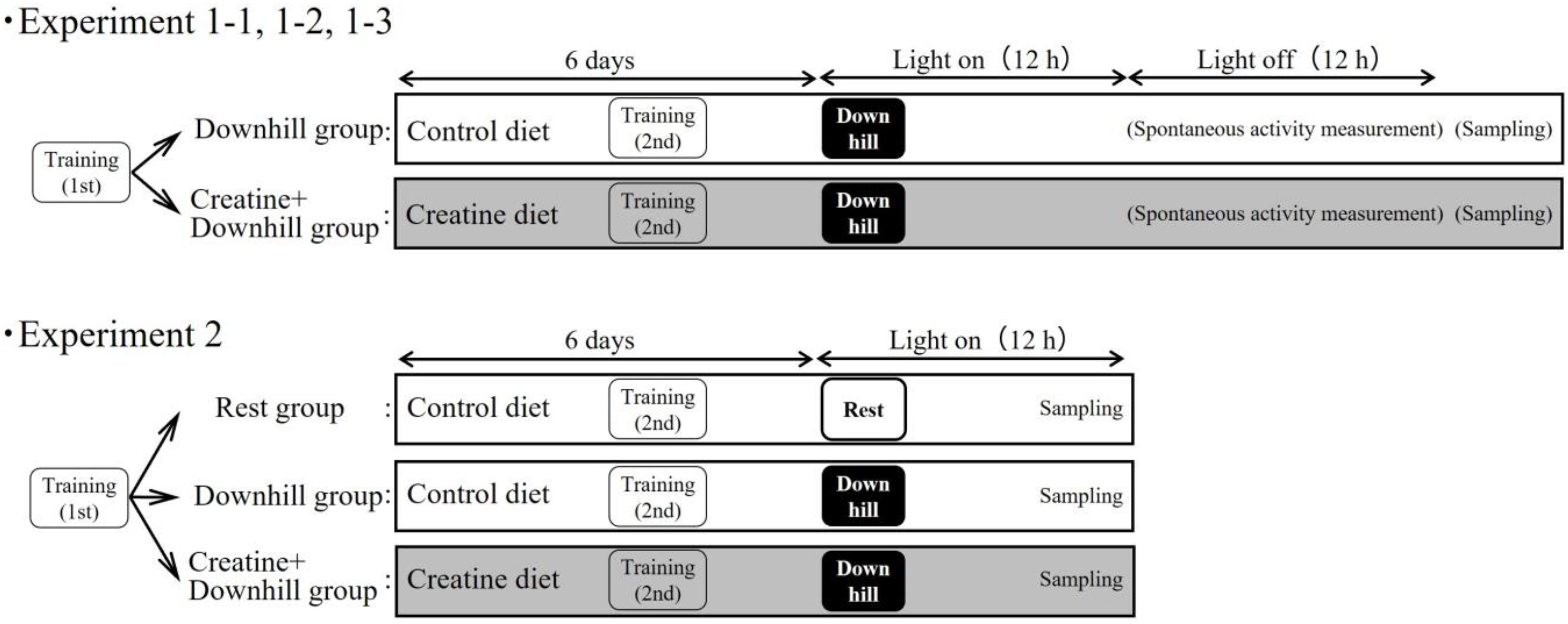 Nutraceuticals 03 00019 g001 Nutraceuticals 03 00019 g001
