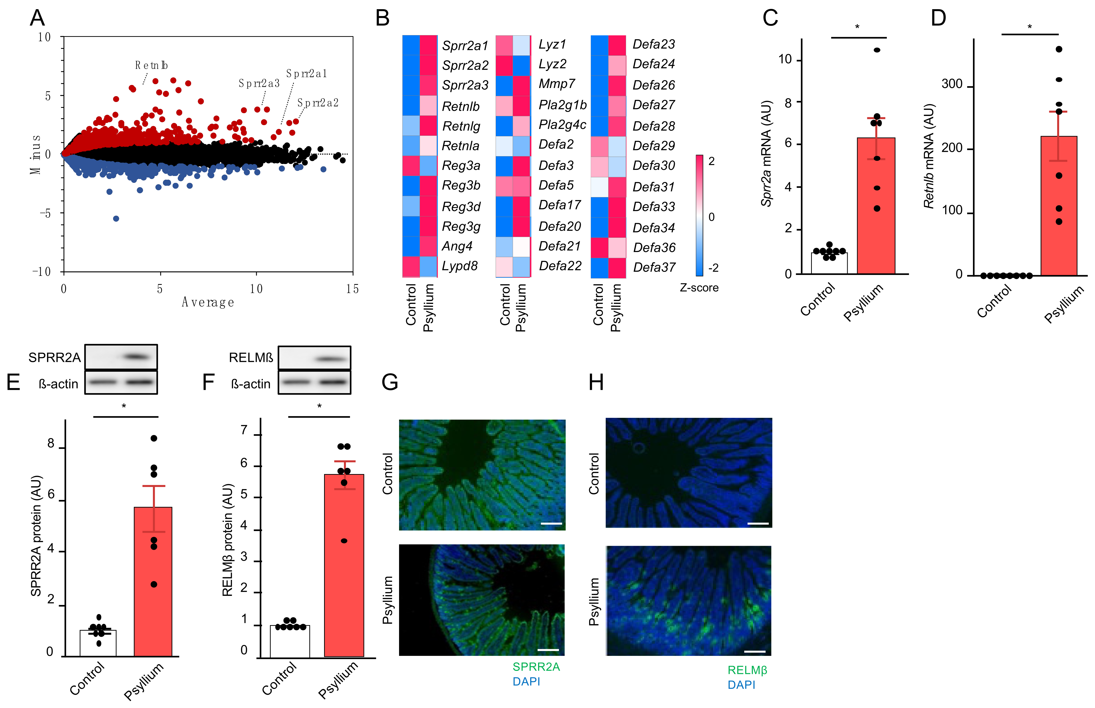 Nutraceuticals 04 00019 g001