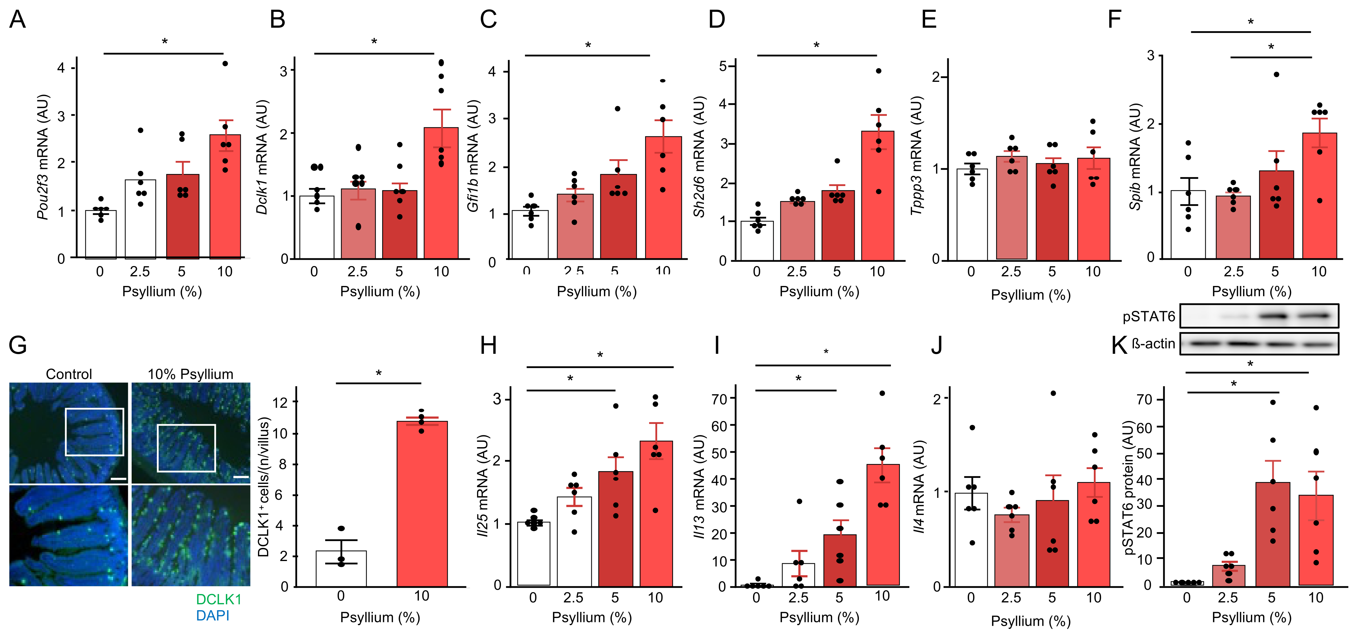 Nutraceuticals 04 00019 g004