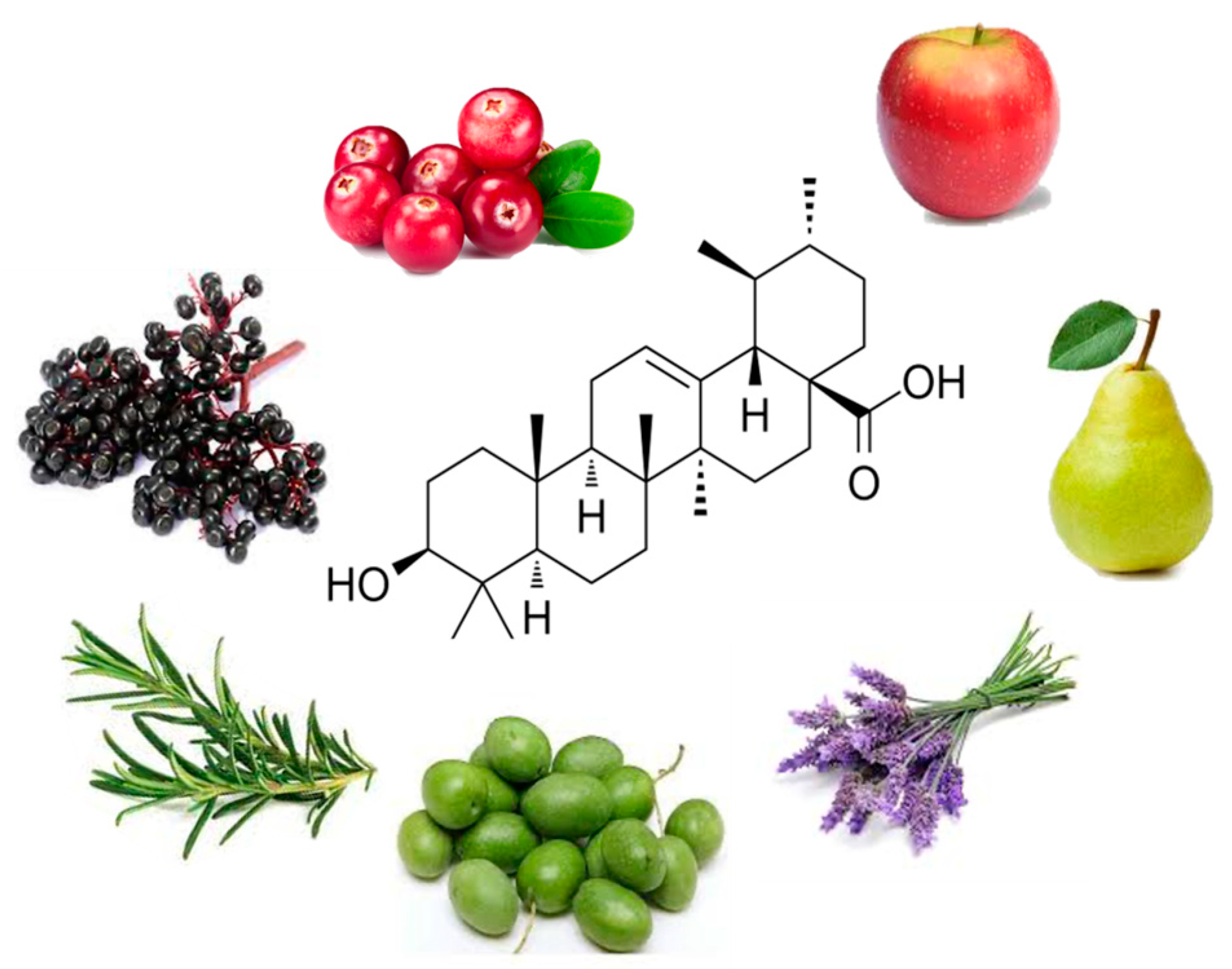 Nutraceuticals 04 00022 g001 Nutraceuticals 04 00022 g001