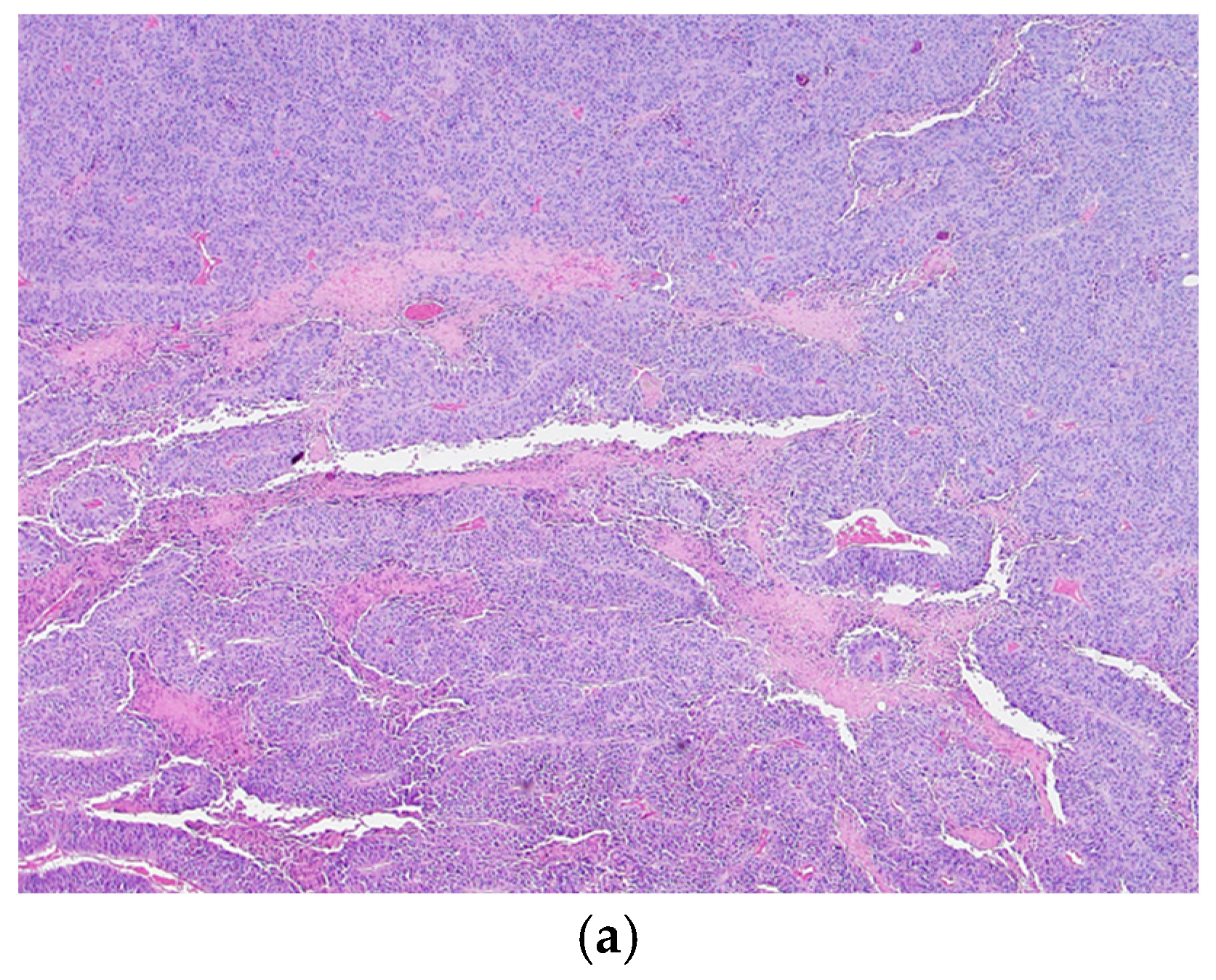 Nutraceuticals 05 00004 g004a
