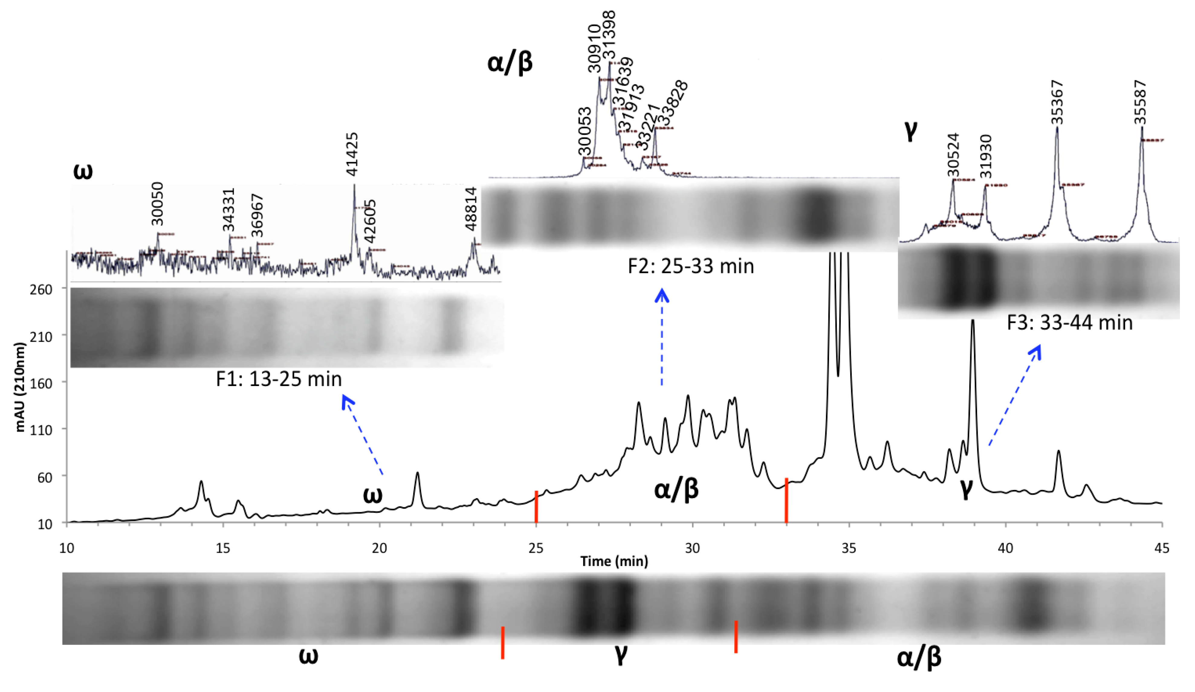 Nutrients 06 01578 g001