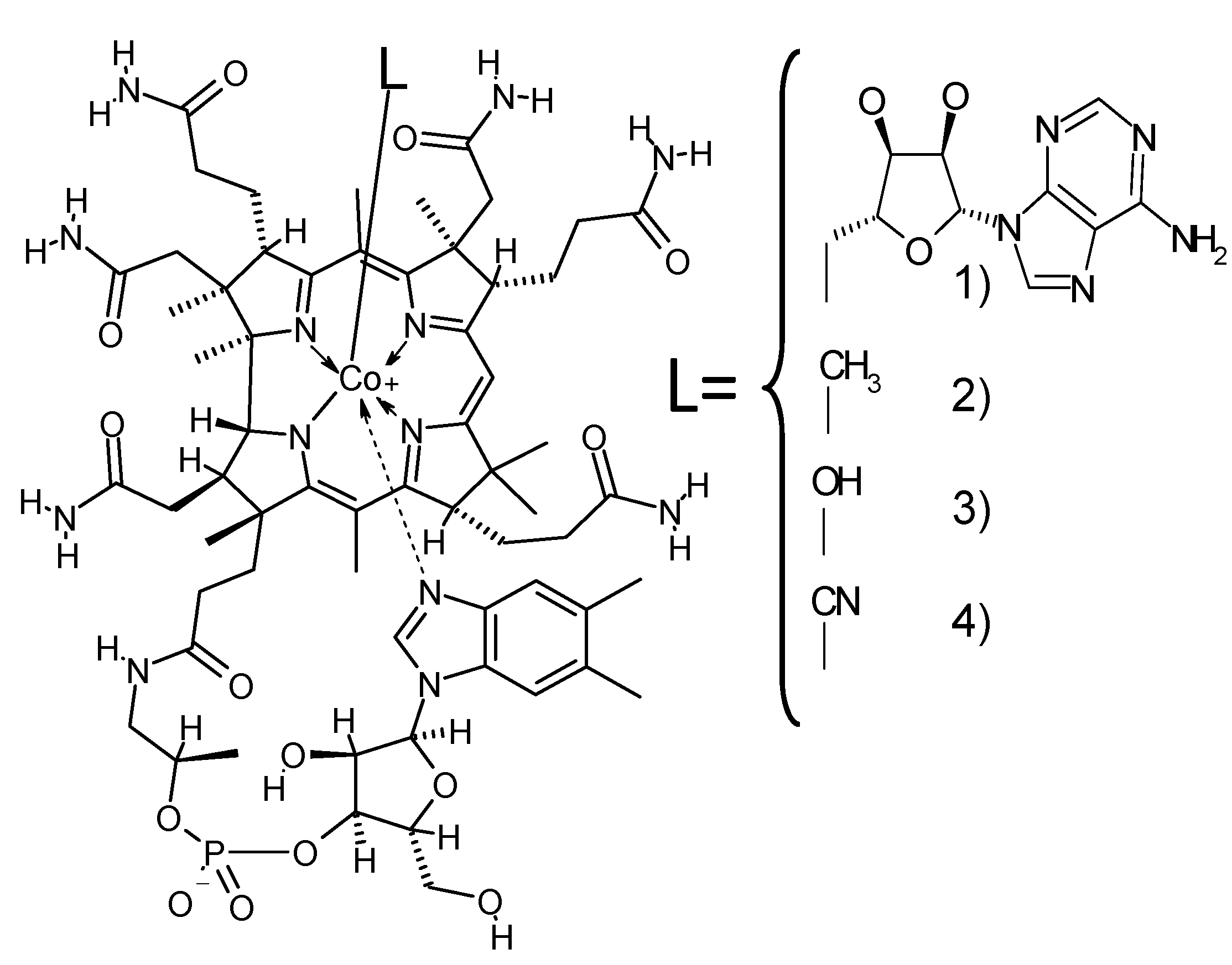 vitamin b12 structure
