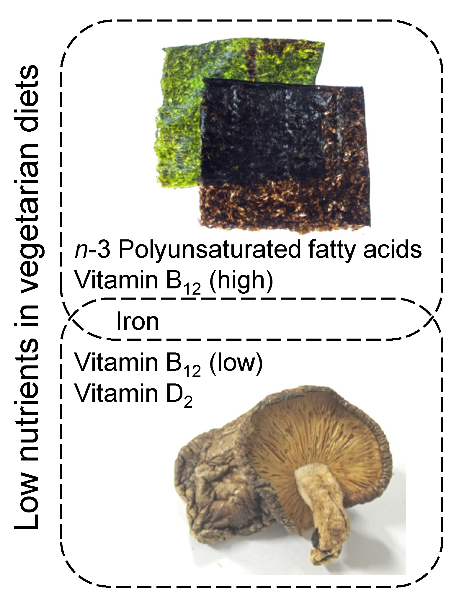 Nutrients | Free Full-Text | Vitamin B12-Containing Plant Food Sources for  Vegetarians