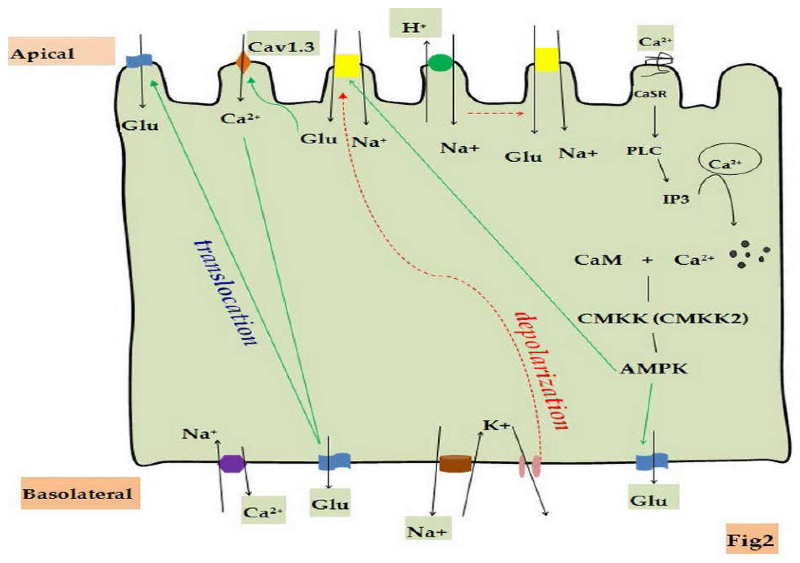 Nutrients 08 00043 g002