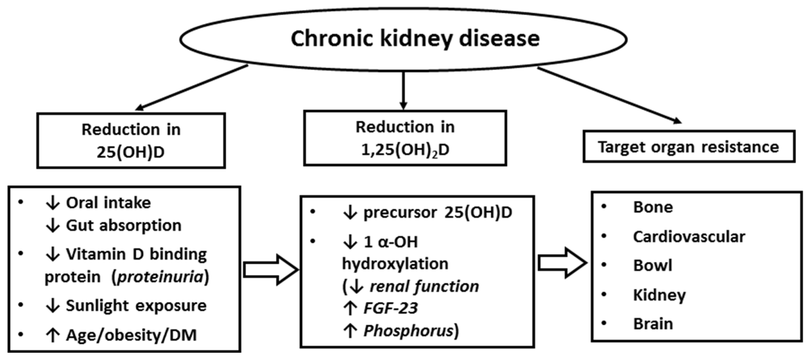 Nutrients | Free Full-Text | Role of Vitamin D in Cognitive Function in  Chronic Kidney Disease