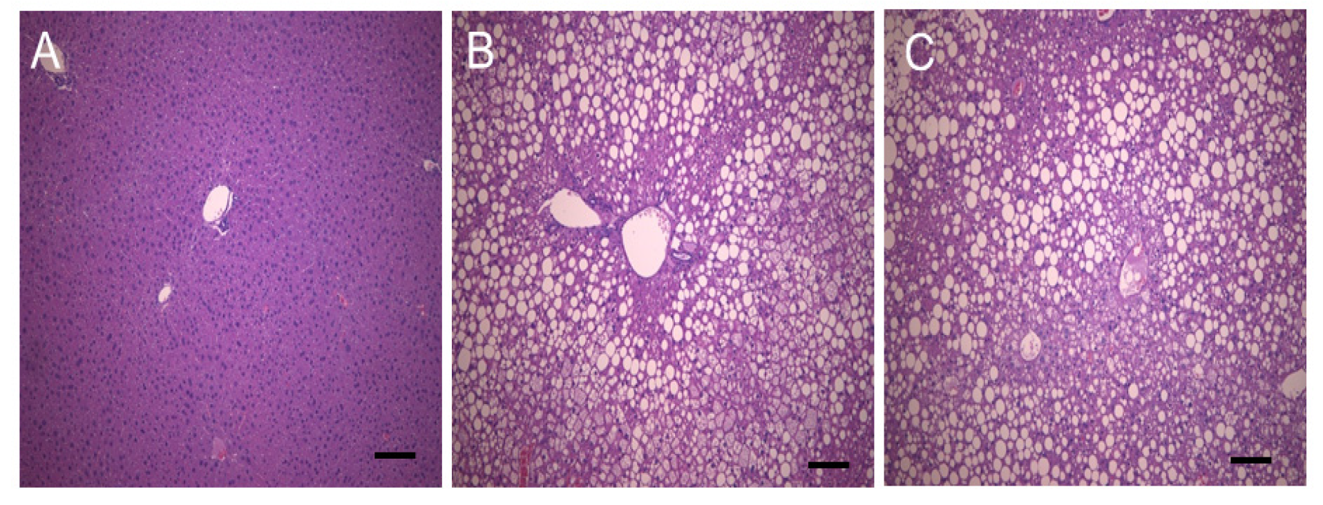 Nutrients 08 00791 g003