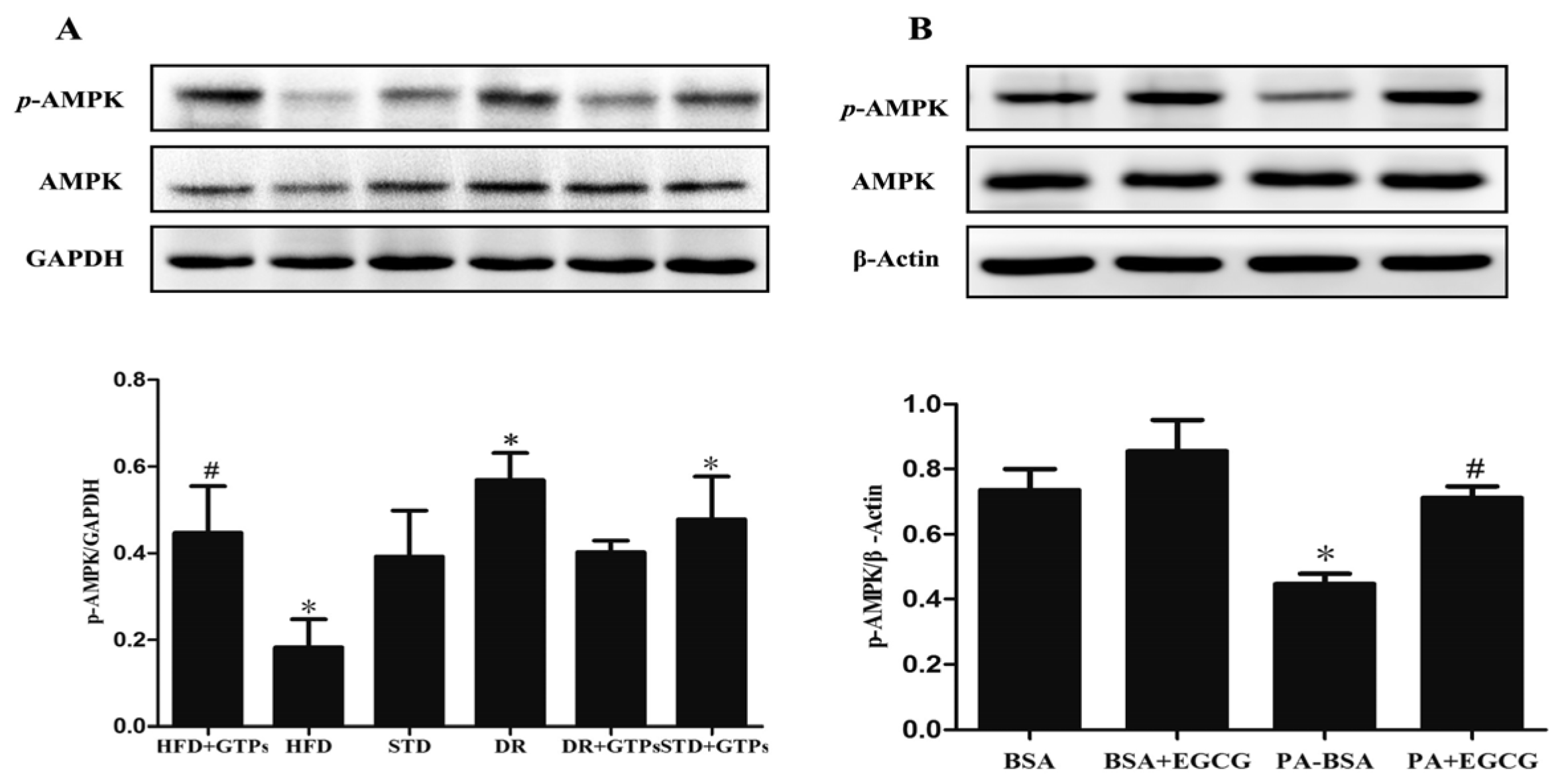 Nutrients 09 00497 g006