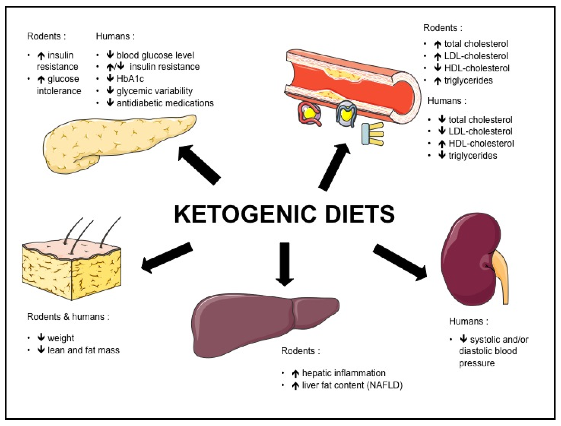 Nutrients | Free Full-Text | Effects of Ketogenic Diets on Cardiovascular  Risk Factors: Evidence from Animal and Human Studies