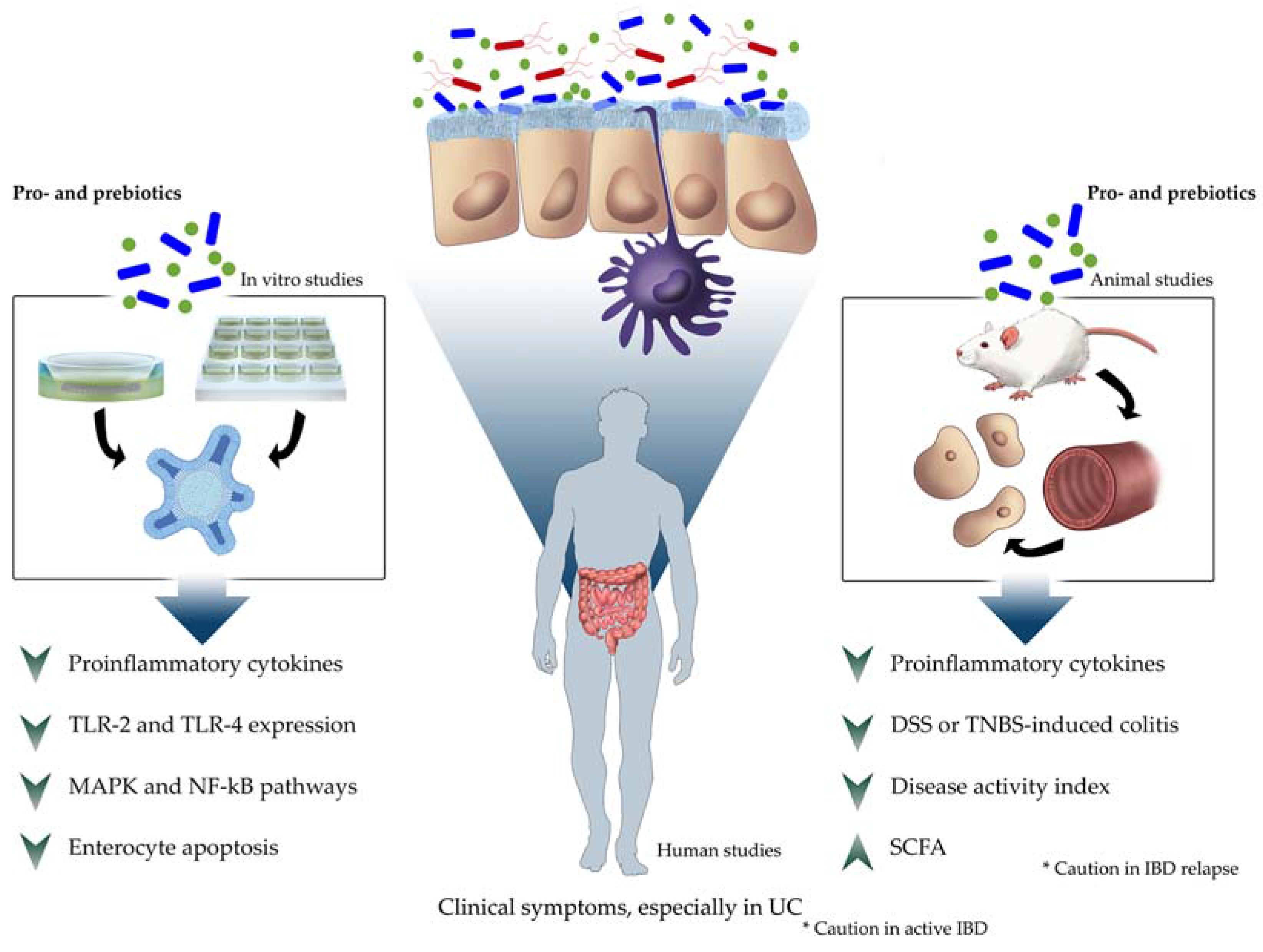 Nutrients | Free Full-Text | Evidence of the Anti-Inflammatory Effects of  Probiotics and Synbiotics in Intestinal Chronic Diseases