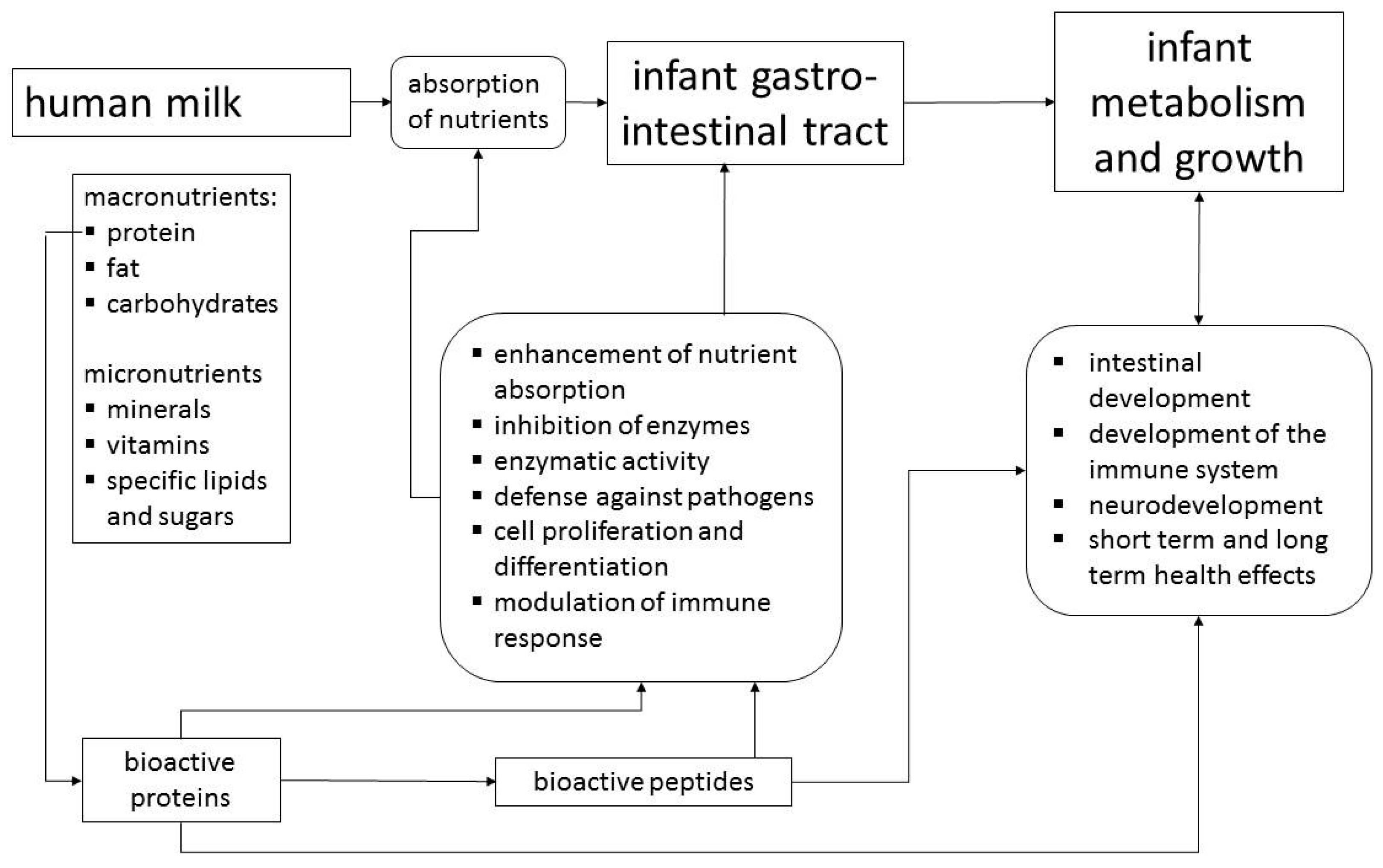 Nutrients | Free Full-Text | Benefits of Lactoferrin, Osteopontin and Milk  Fat Globule Membranes for Infants | HTML