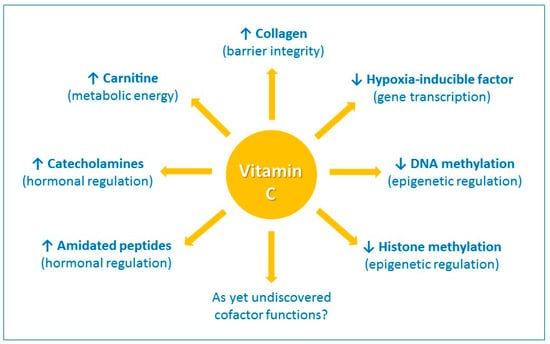Nutrients | Free Full-Text | Vitamin C and Immune Function