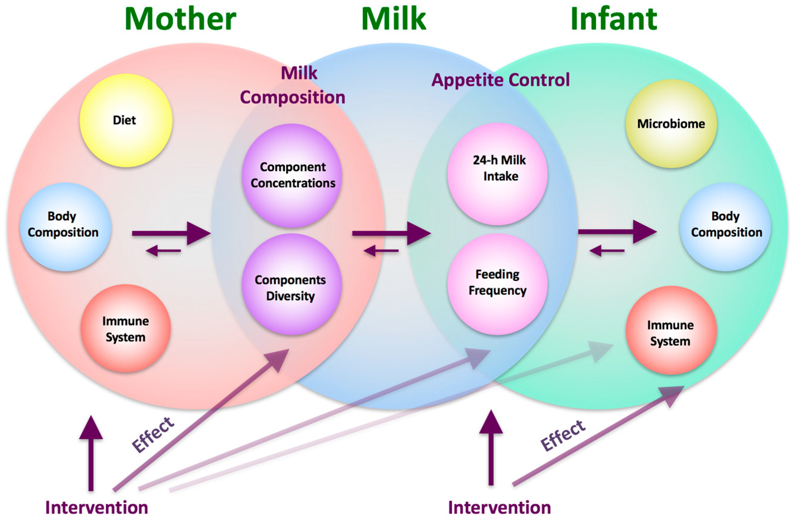 Mothers milk bjj