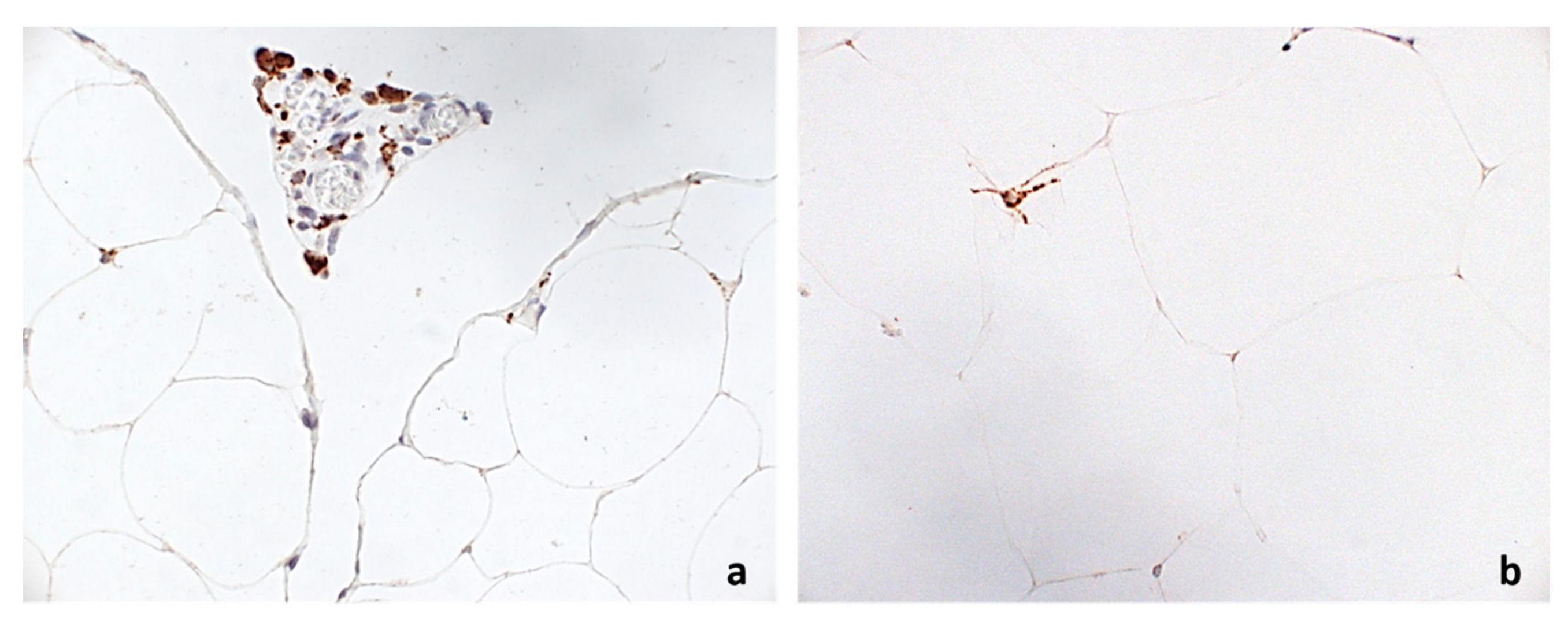 Nutrients 10 00526 g001