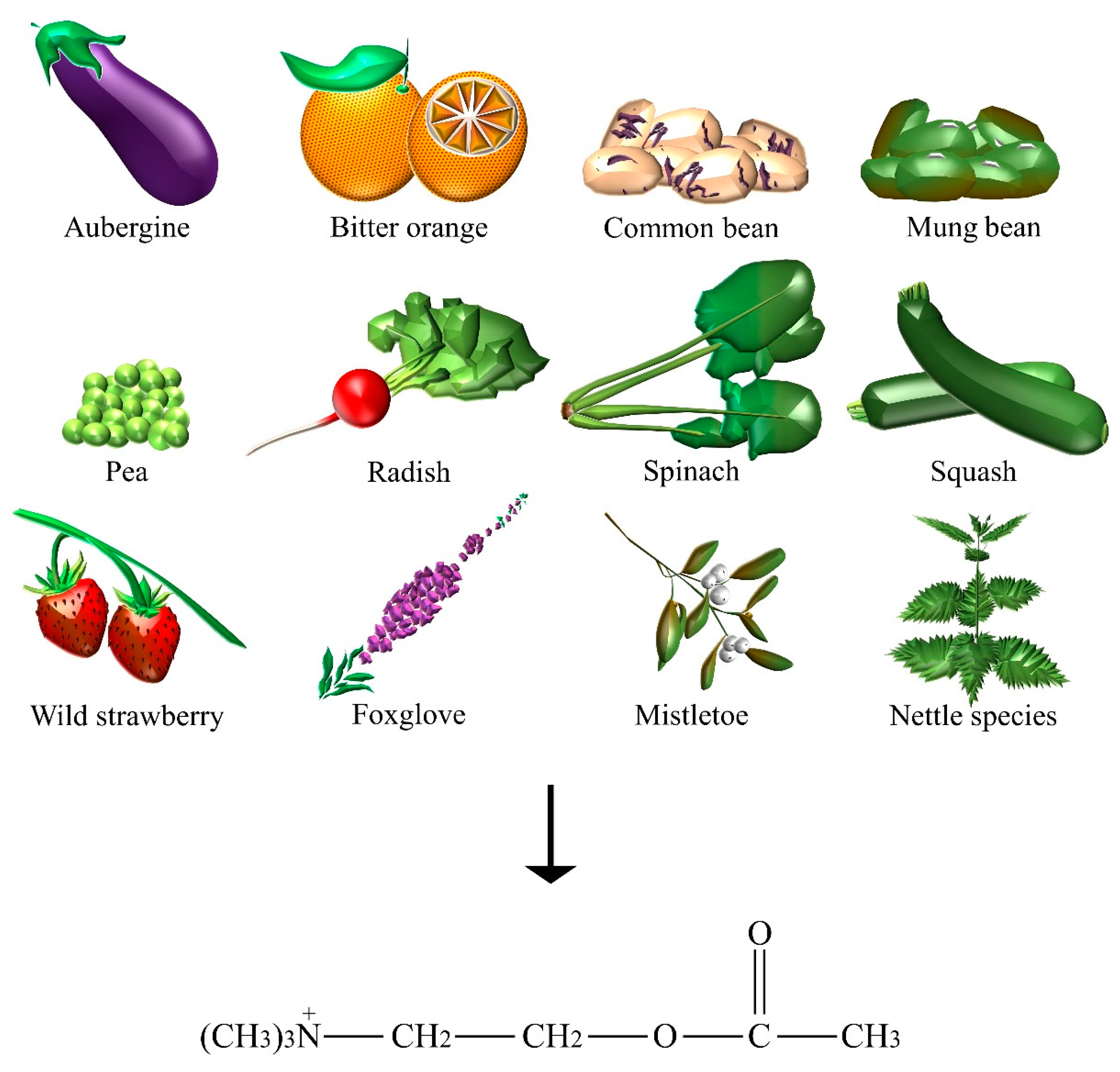 Nutrients Free Full Text Dietary Neurotransmitters A Narrative Review On Current Knowledge Html