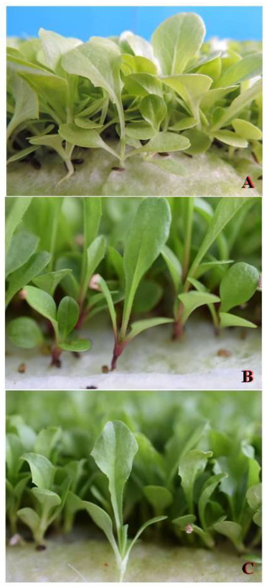 Nutrients 10 00675 g002