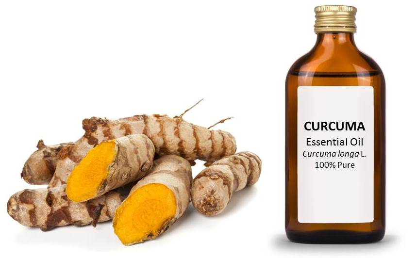 Nutrients | Free Full-Text | Chemical Composition and Biological Activities  of Essential Oils of Curcuma Species | HTML