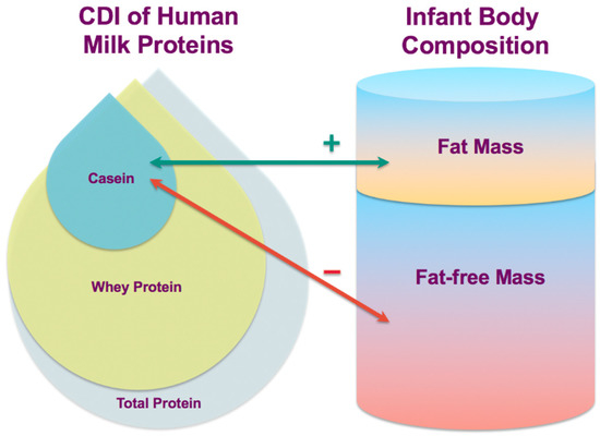 Nutrients Free Full Text Human Milk Casein And Whey Protein And Infant Body Composition Over The First 12 Months Of Lactation