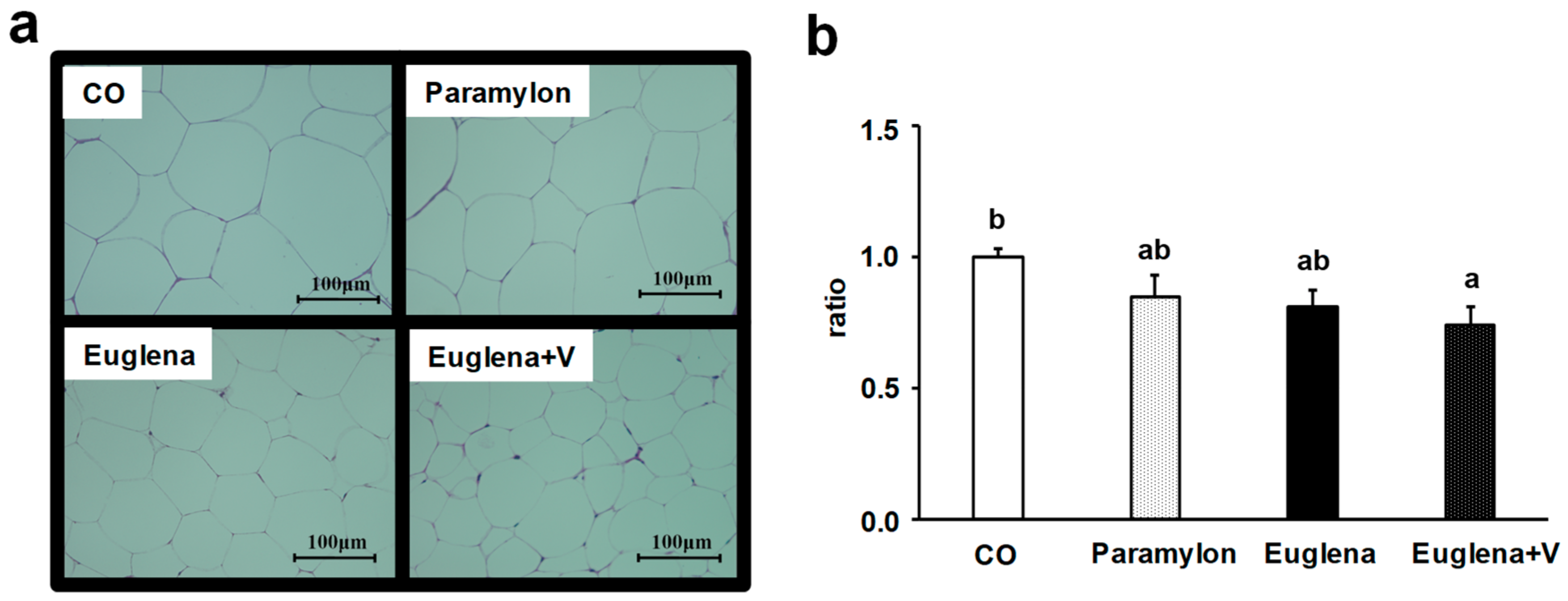 Nutrients 10 01417 g004 Nutrients 10 01417 g004