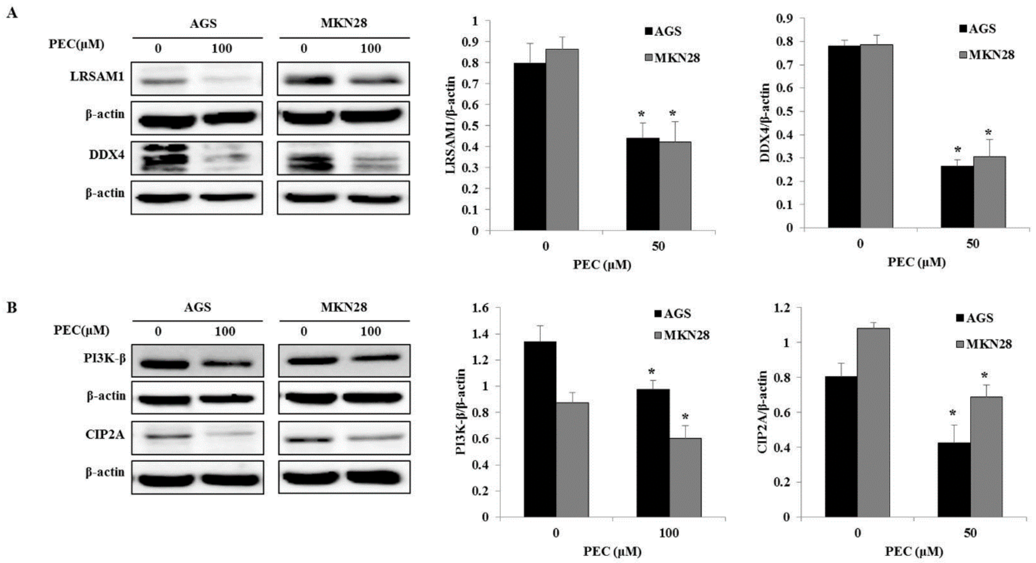 Nutrients 10 01596 g007 Nutrients 10 01596 g007
