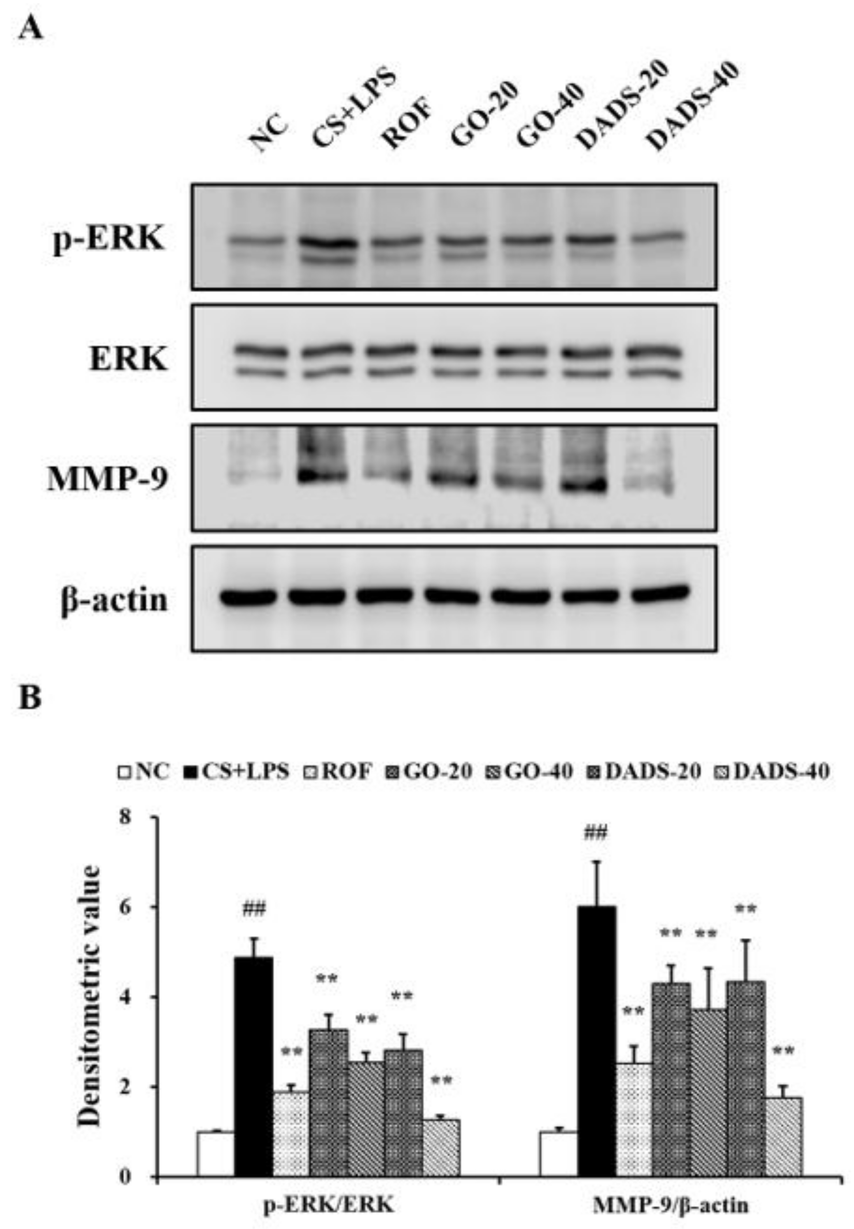 Nutrients Free Full Text Preventive Effect Of Garlic Oil And Its Organosulfur Component Diallyl Disulfide On Cigarette Smoke Induced Airway Inflammation In Mice Html