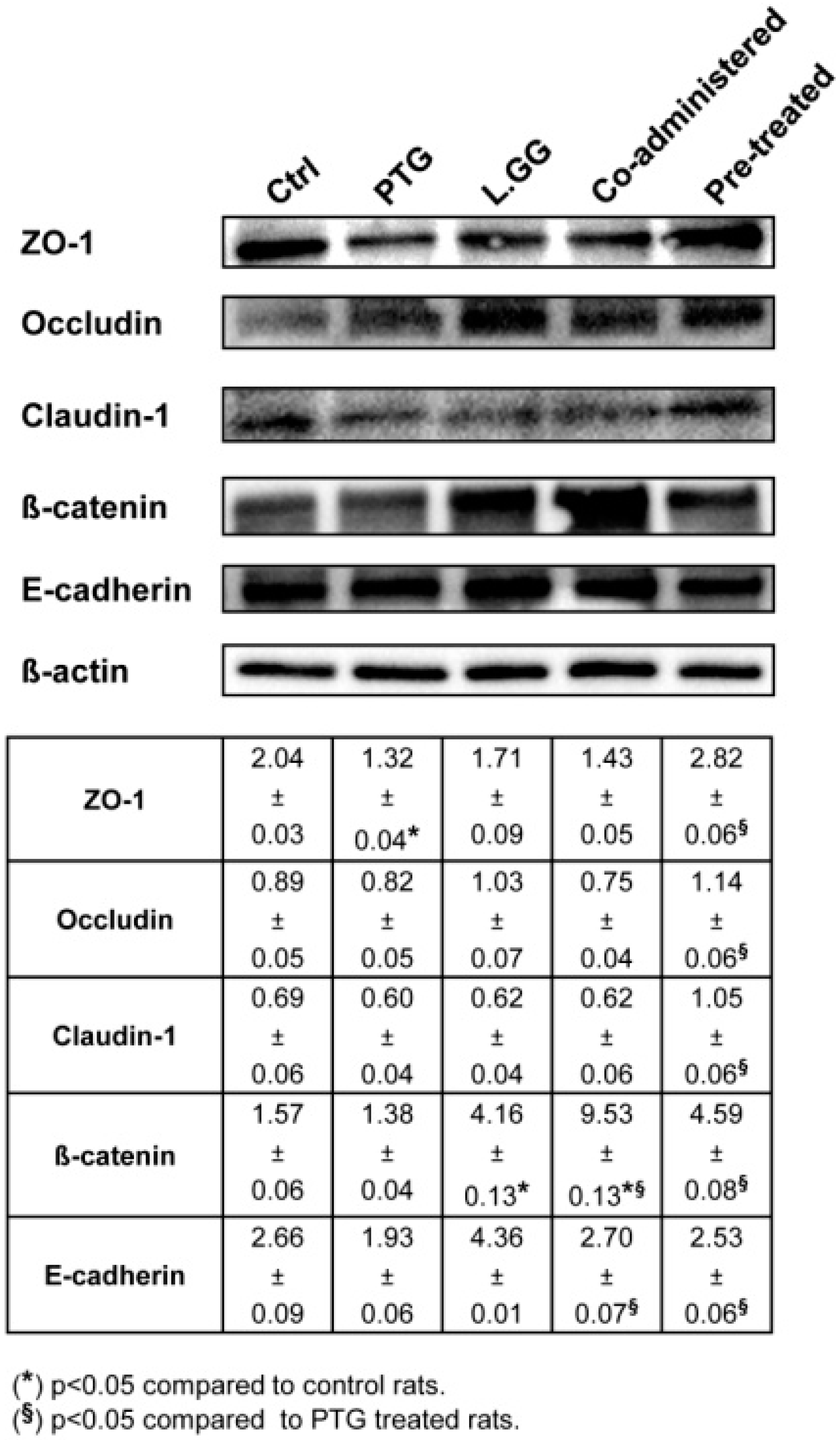 Nutrients Free Full Text Lactobacillus Rhamnosus Gg Protects The Epithelial Barrier Of Wistar Rats From The Pepsin Trypsin Digested Gliadin Ptg Induced Enteropathy Html