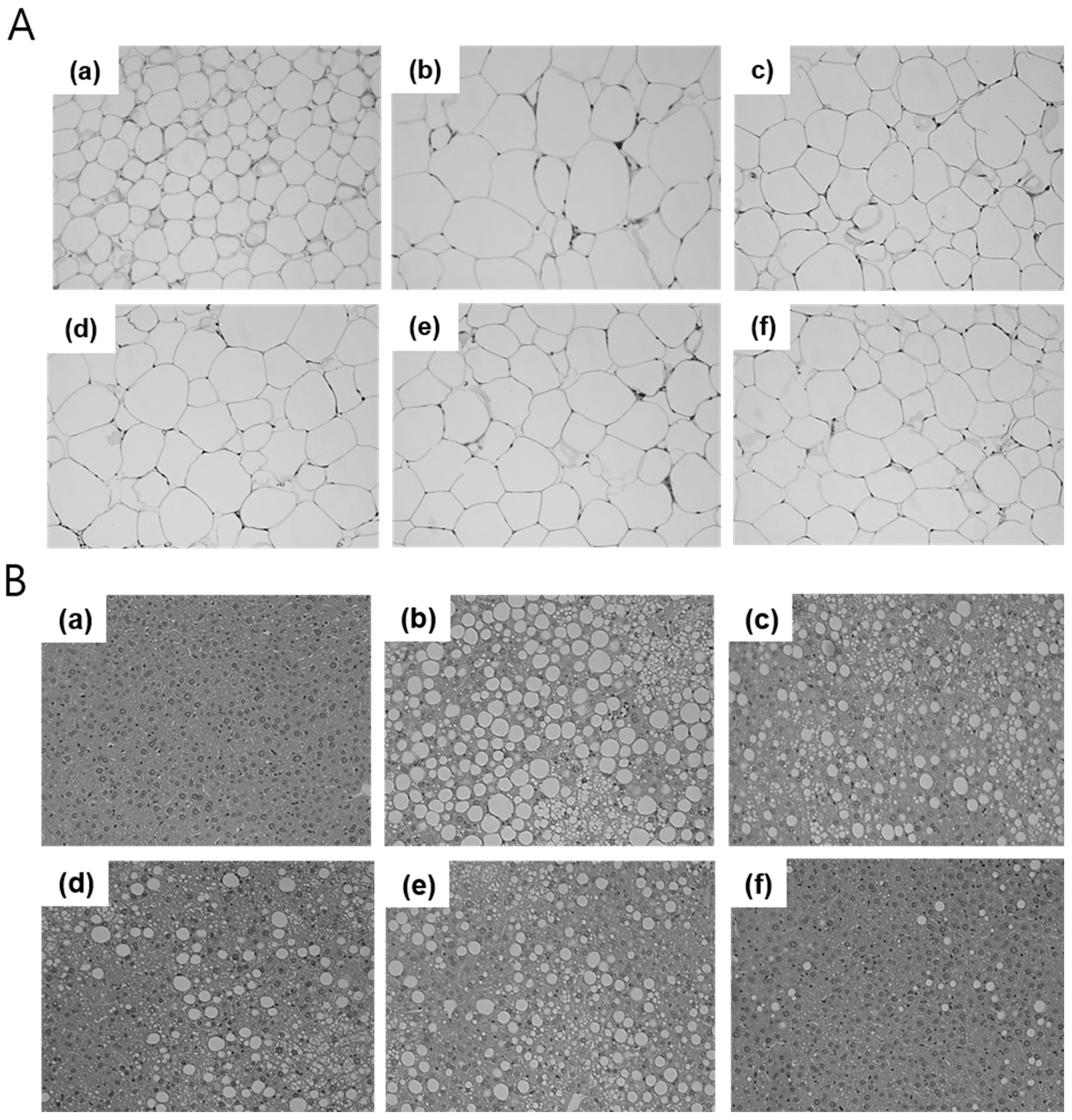 Nutrients 10 01846 g005 Nutrients 10 01846 g005
