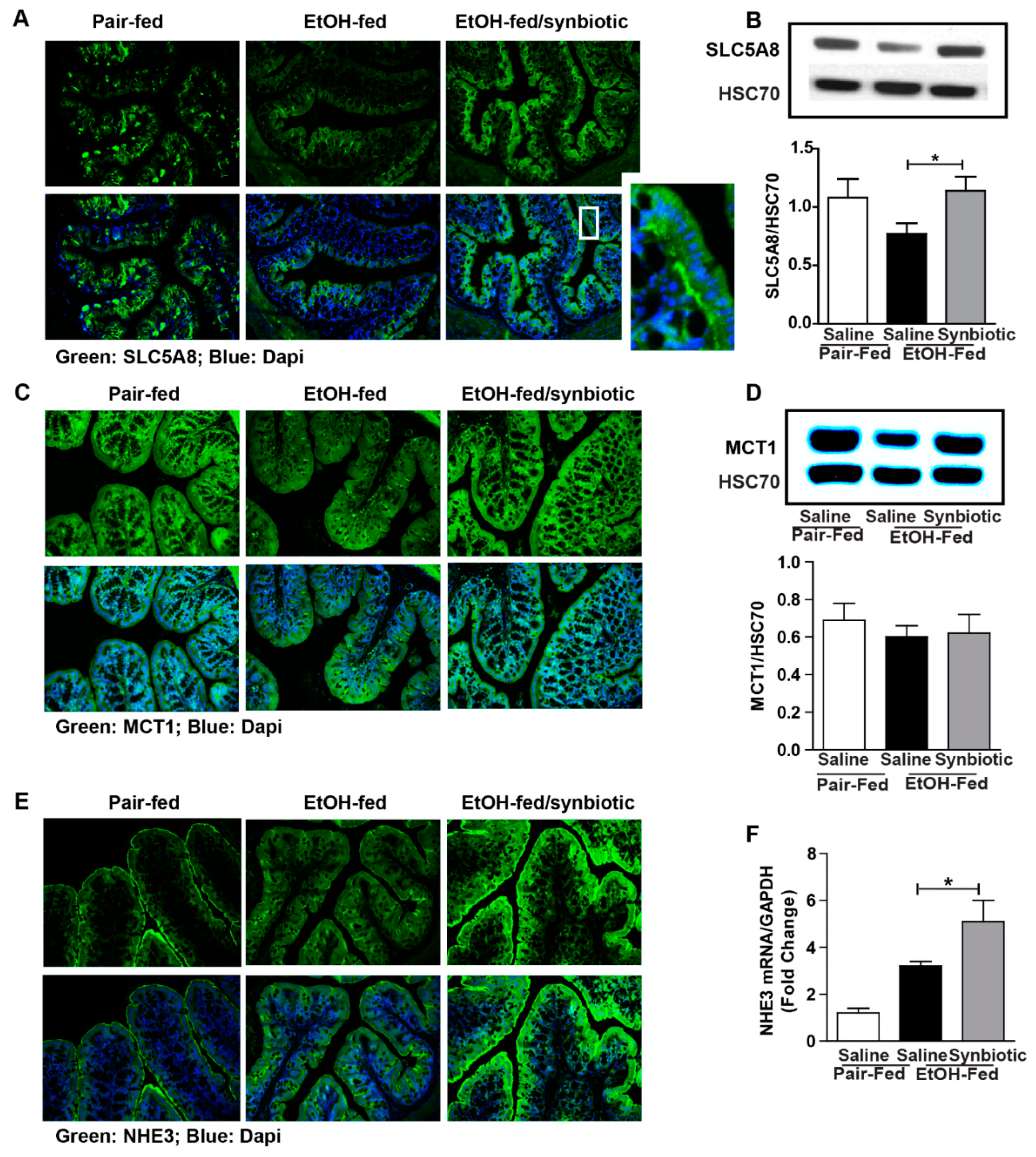 Nutrients 11 00097 g002 Nutrients 11 00097 g002