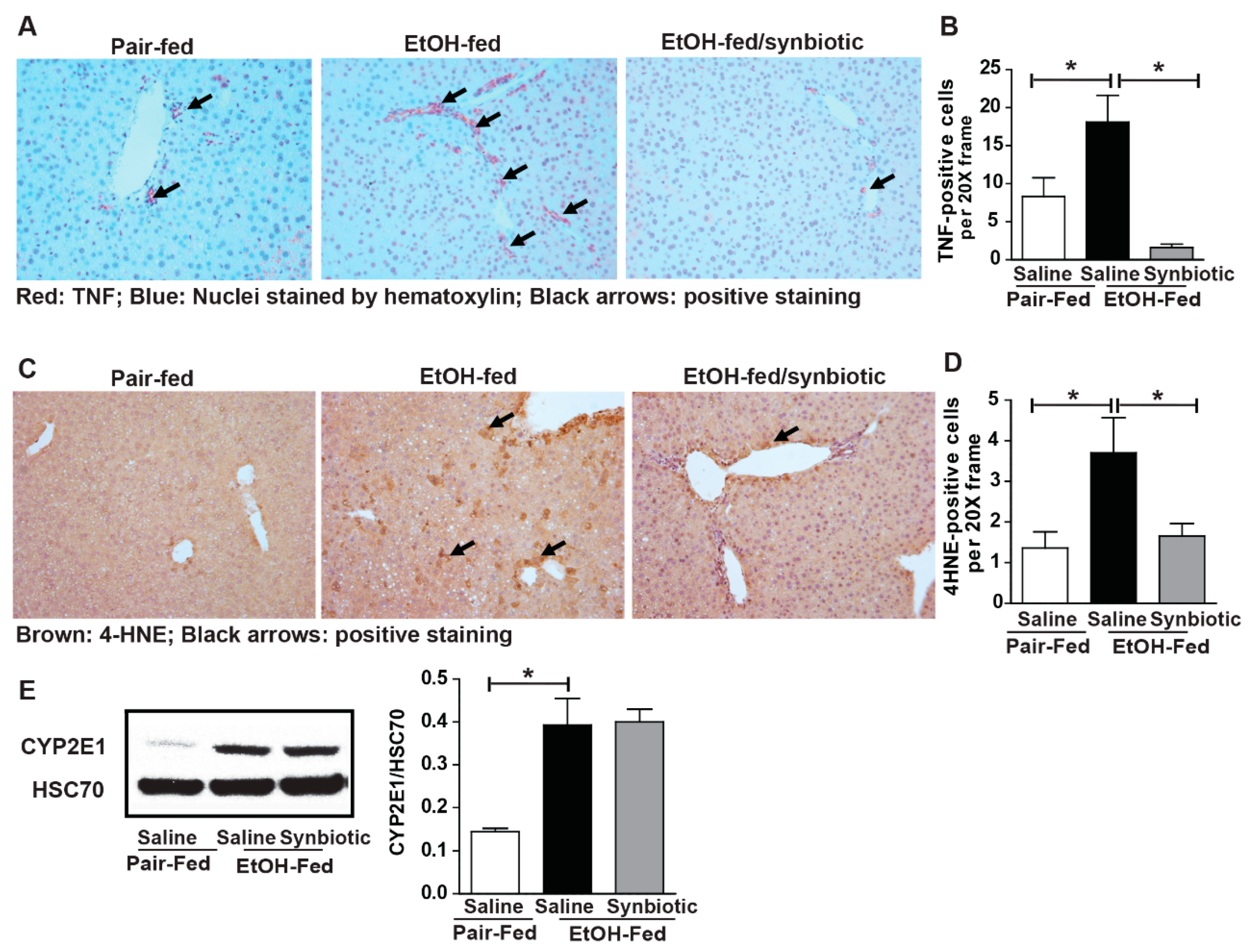Nutrients 11 00097 g006 Nutrients 11 00097 g006